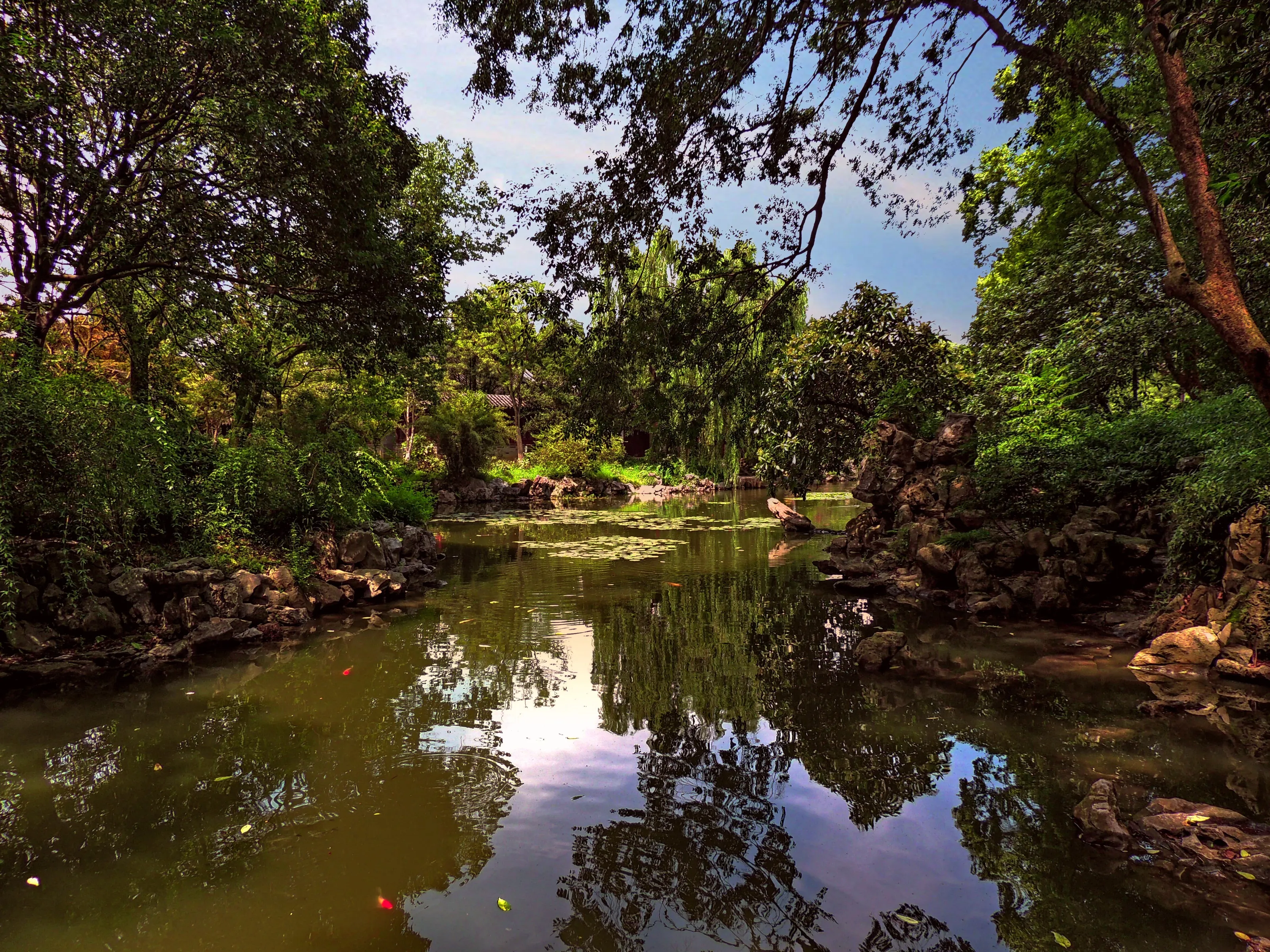 Nature's Vibrance