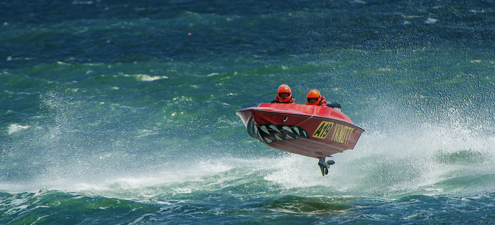 Entry 555359