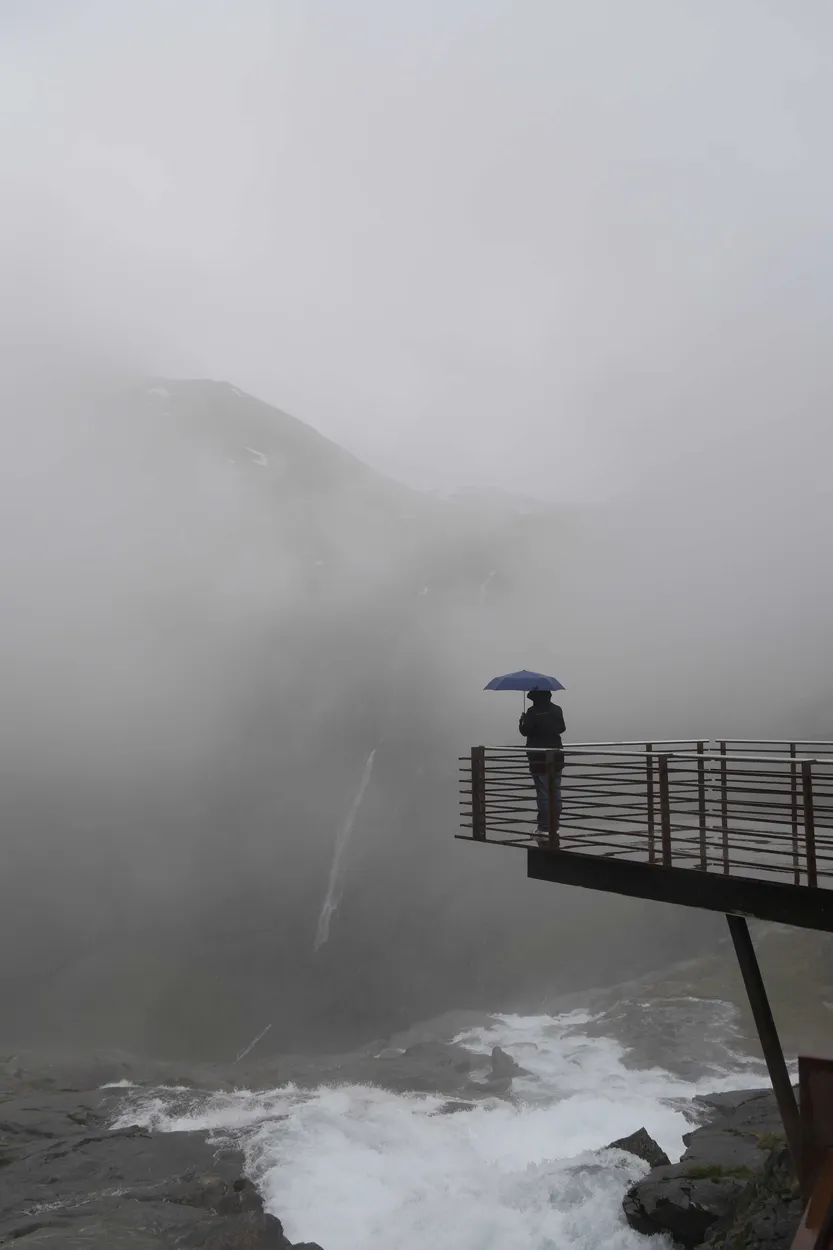 Entry 11368886