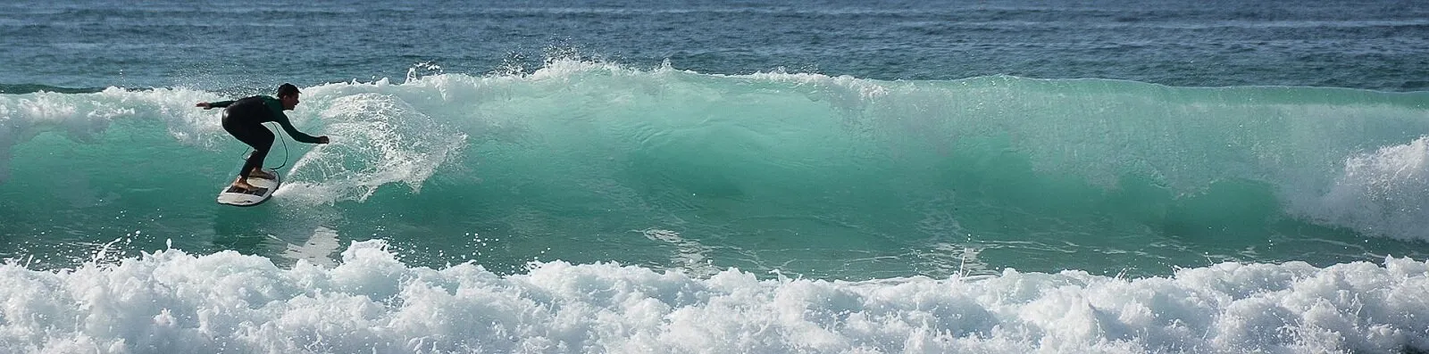 The wave