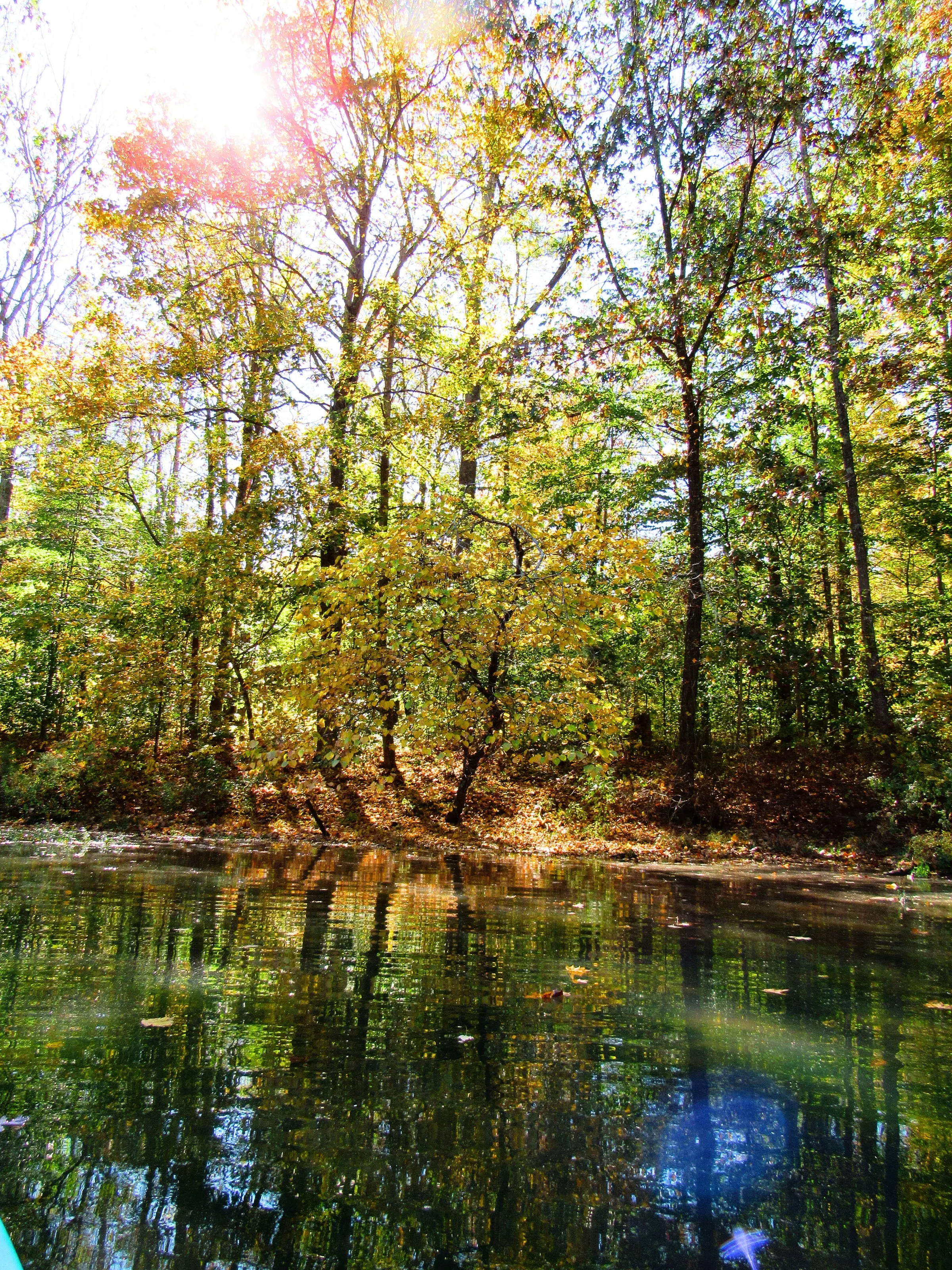 Sun Lit Lake