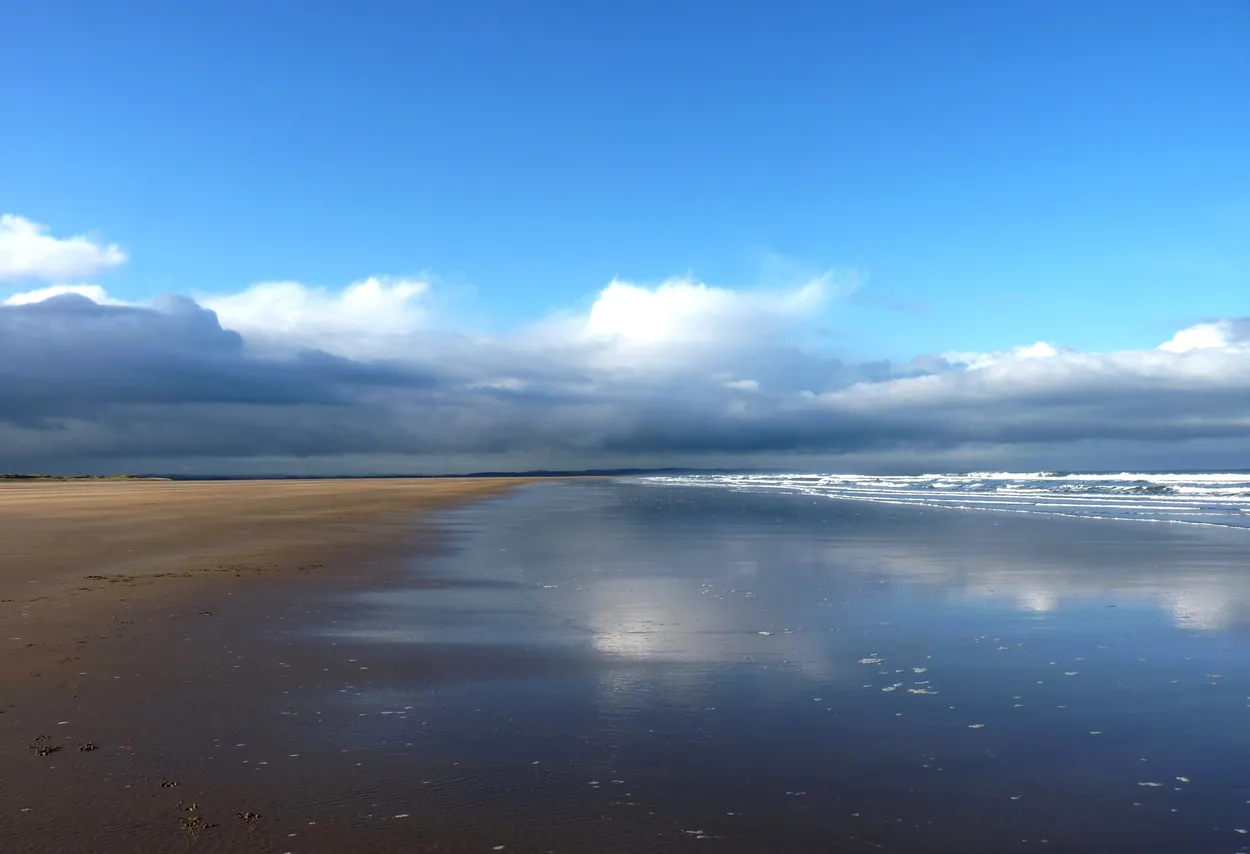 Entry 5540135