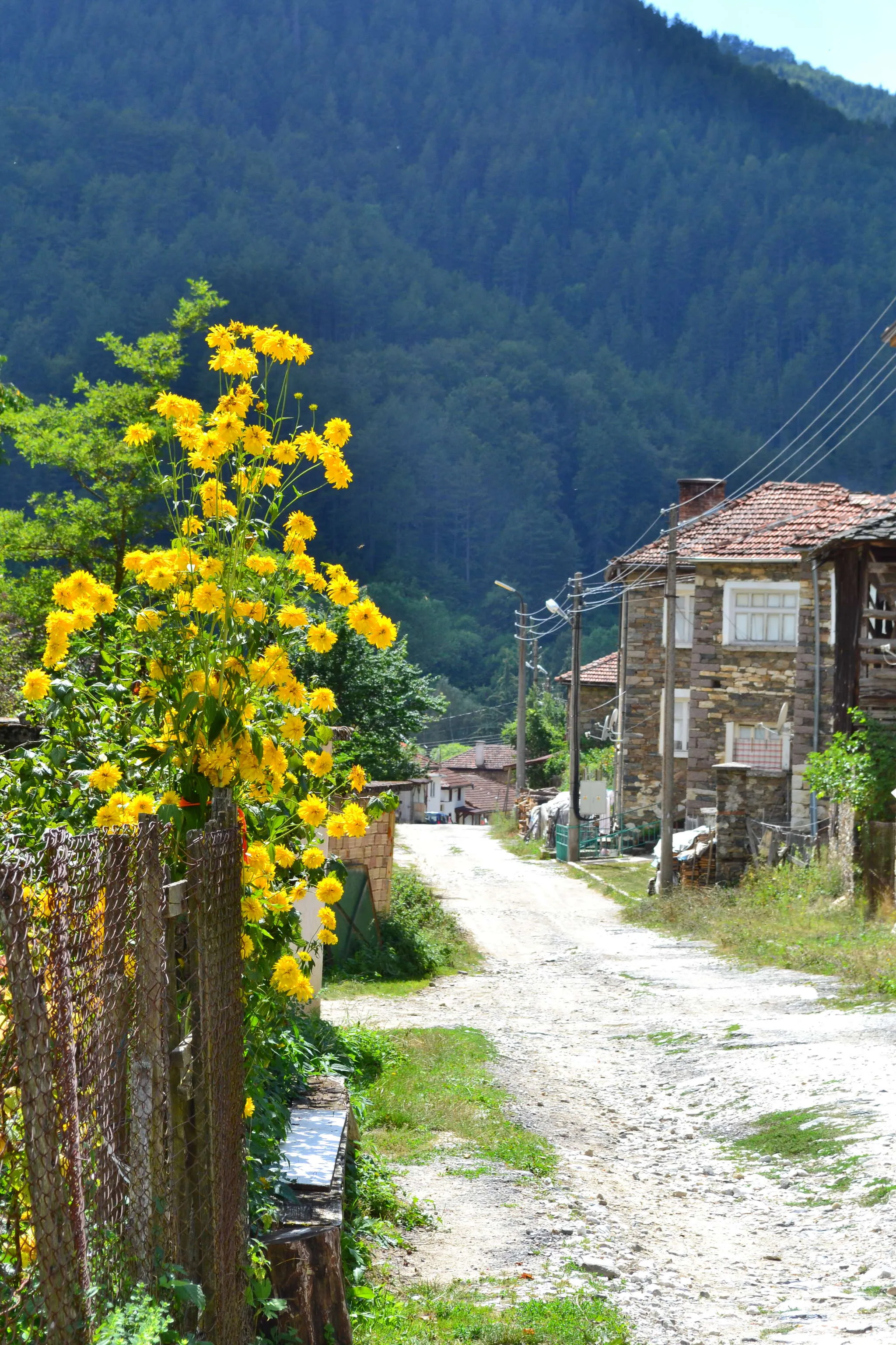 Silent village