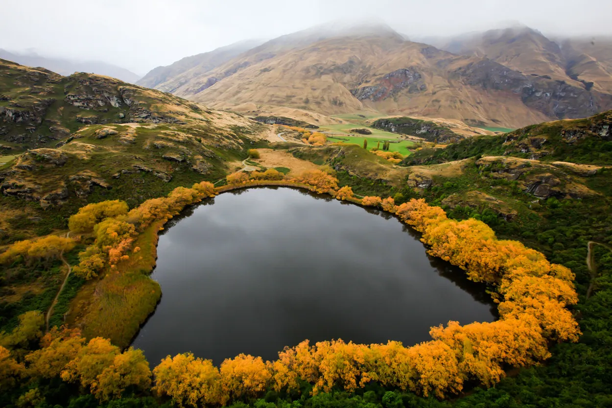 Entry 14272511