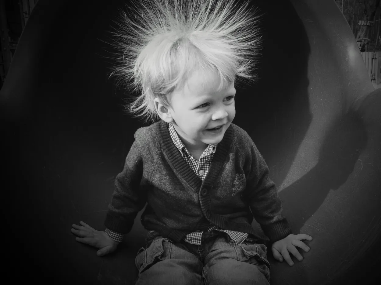 Entry 14776273
