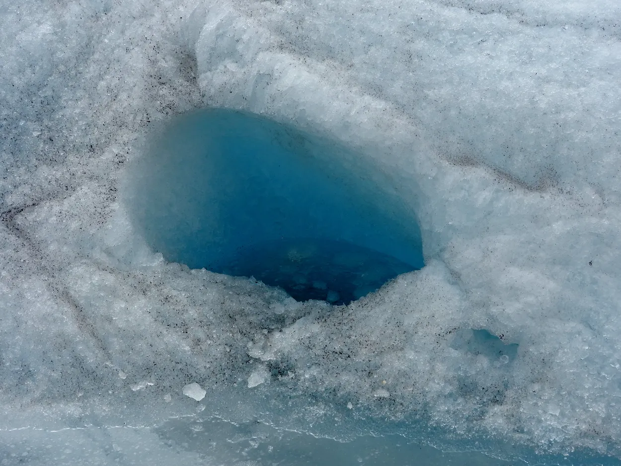 Entry 8632511