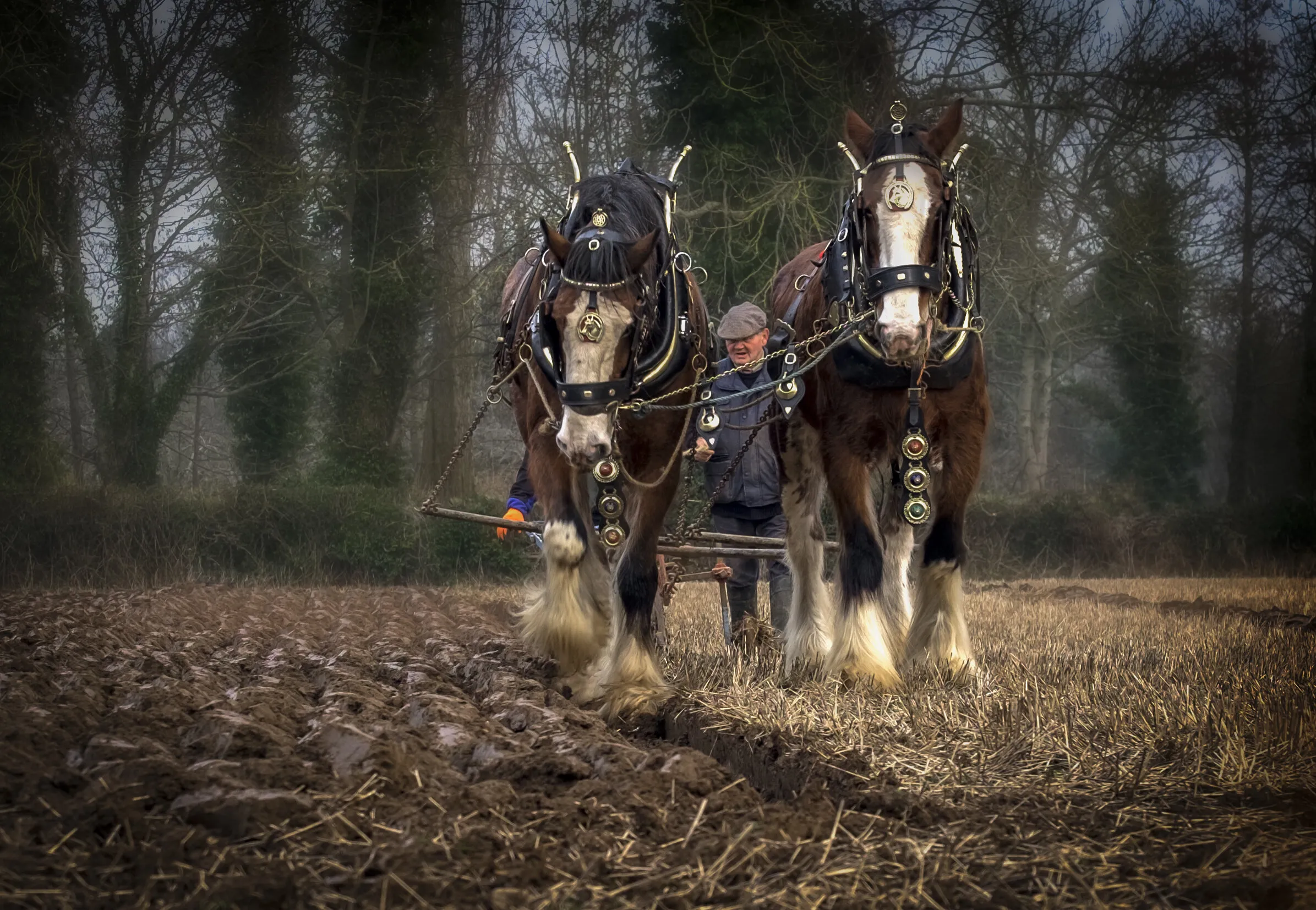 Workers of the Past