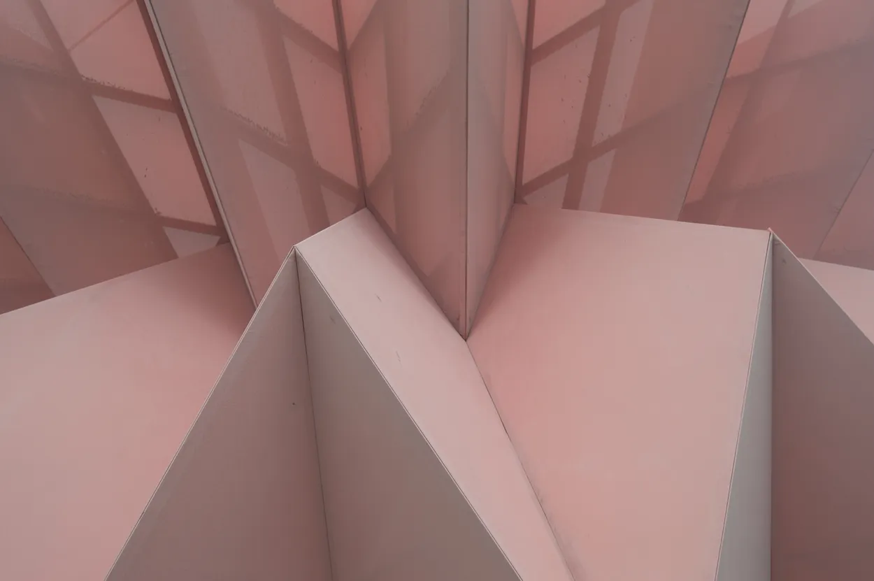 Entry 19233971