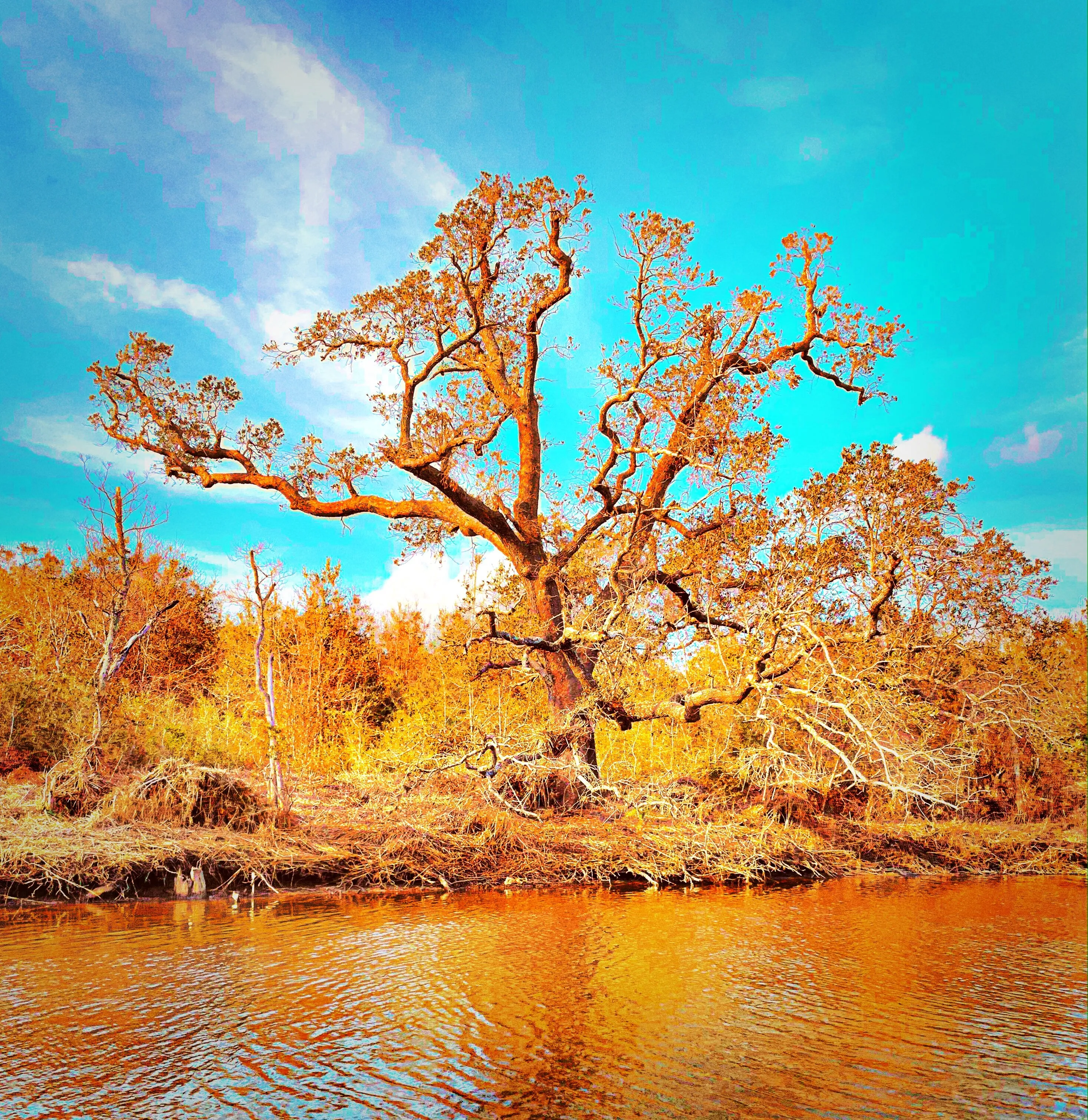 Russell’s Island