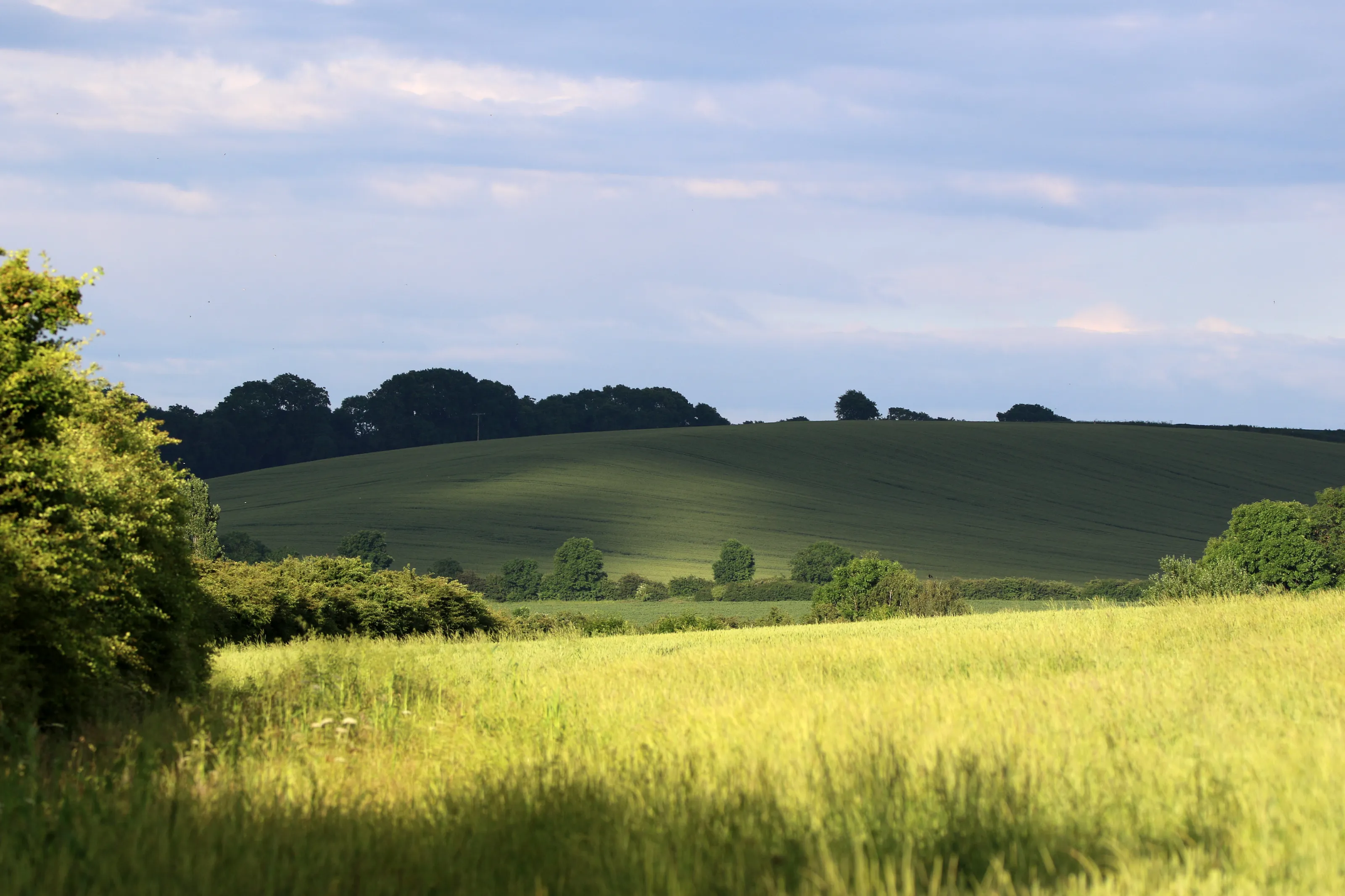 countryside in leicestershire