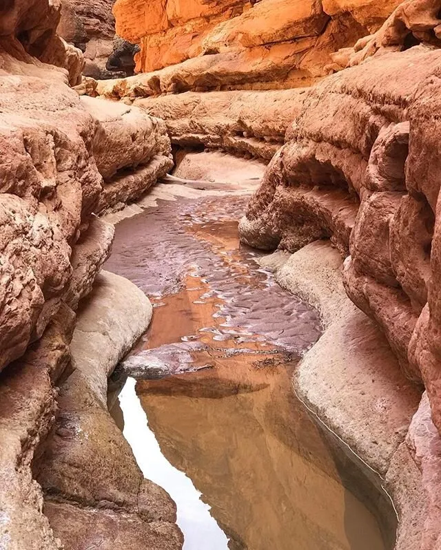 cathedral wash