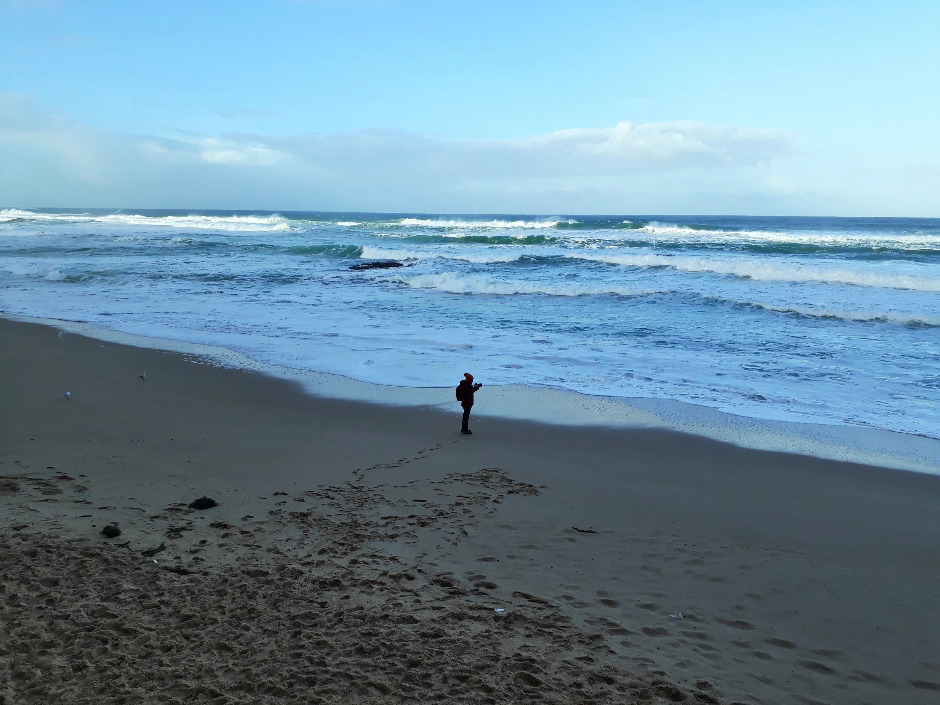Land Vs Sea