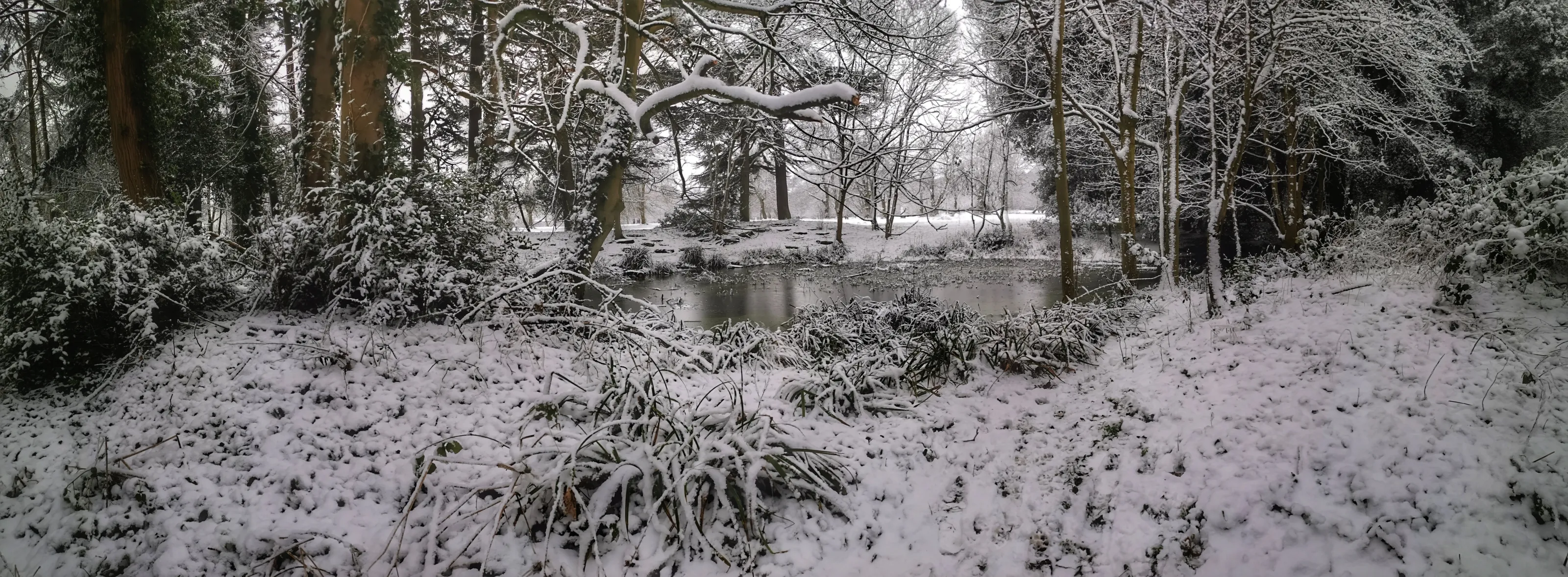 Tranquillity of Snow