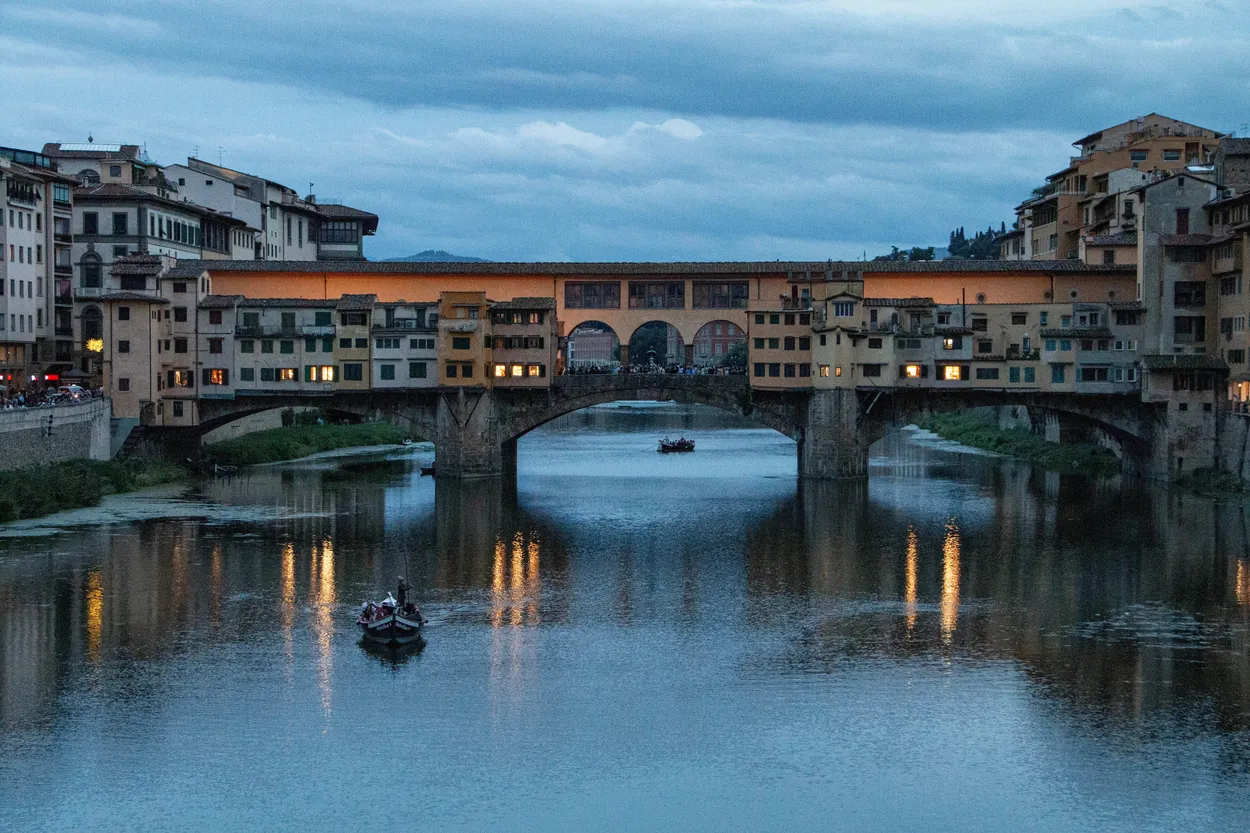 Entry 17735504