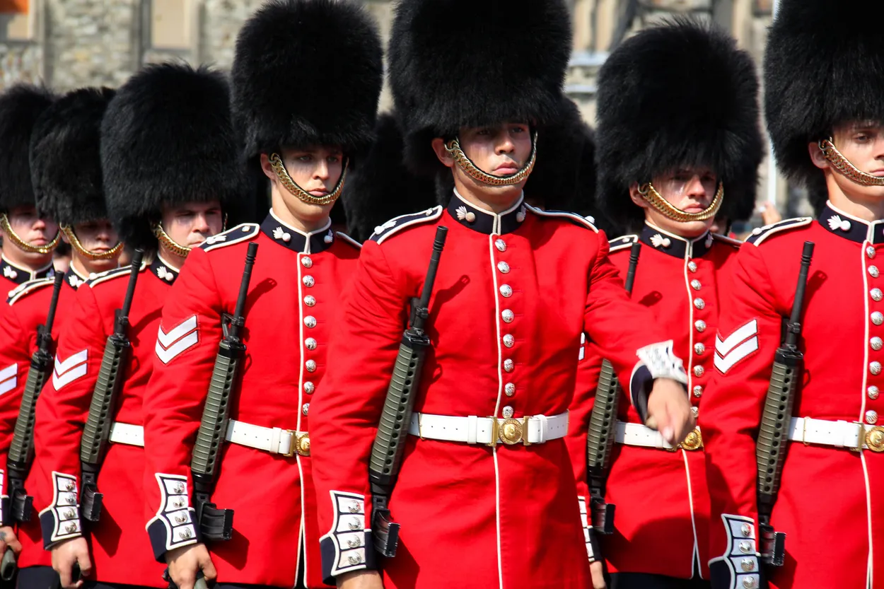 Entry 17360069