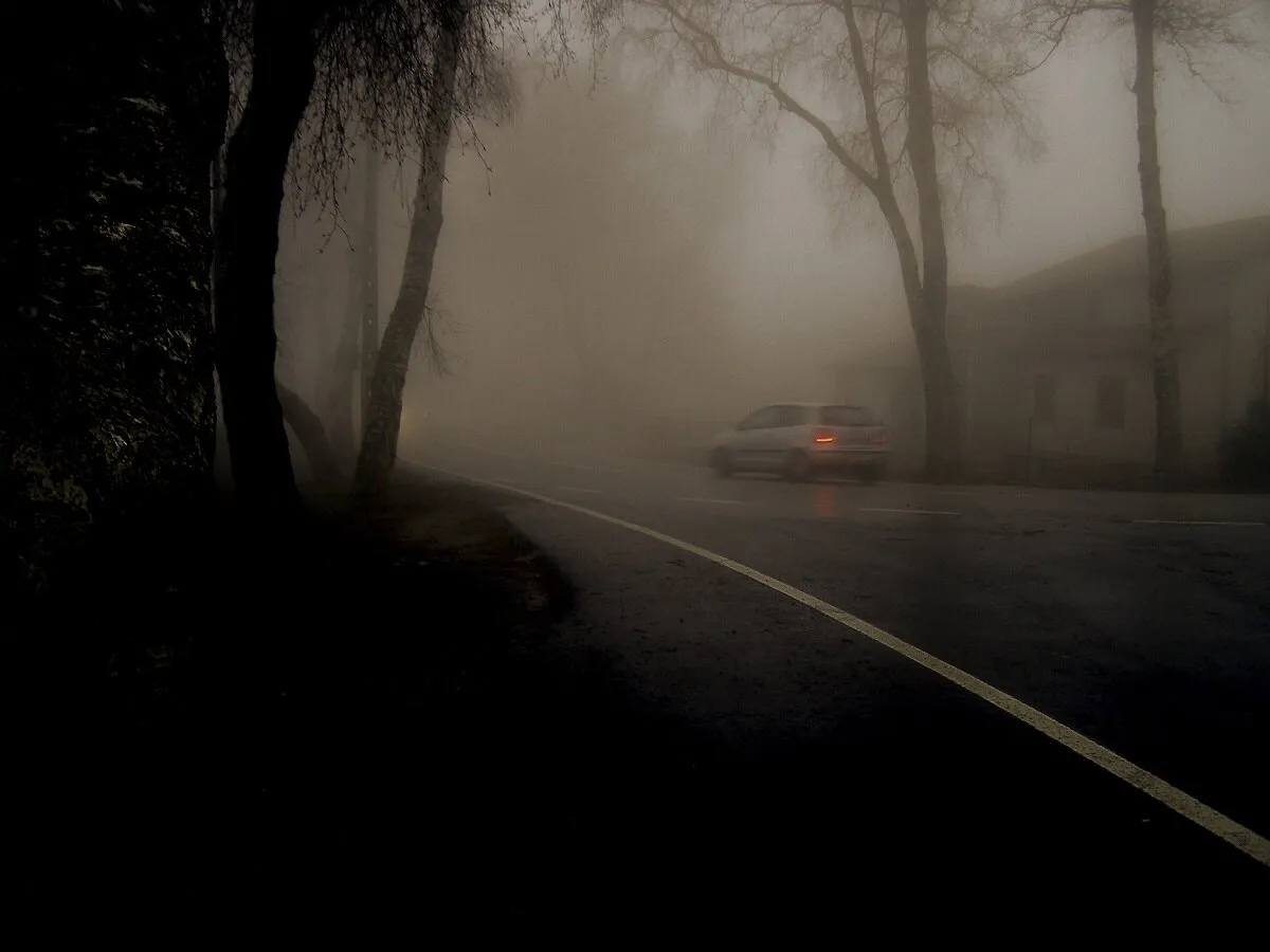 The journey in the fog