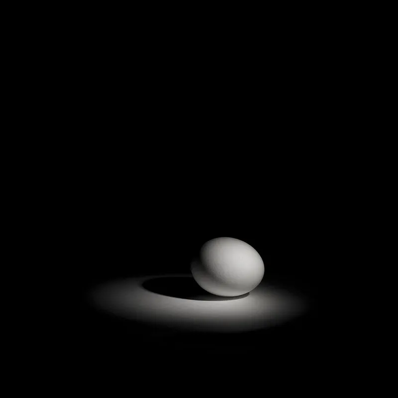 In the spotlight