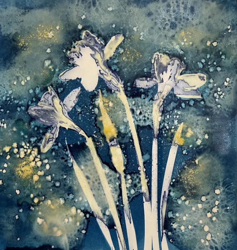 Cyanotype Daffs
