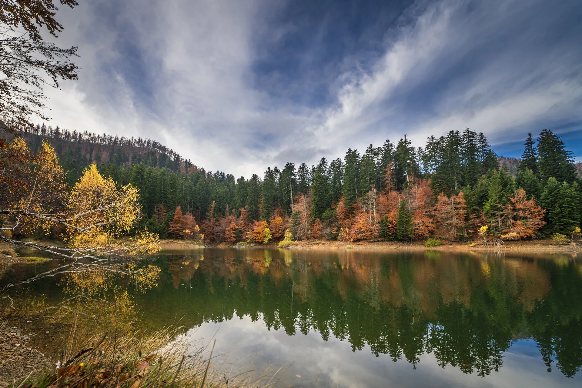 Autumn lake