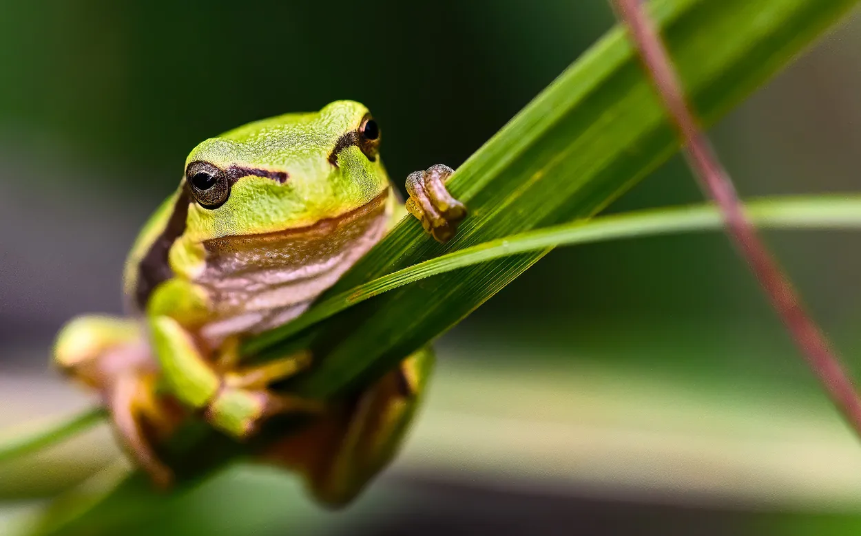 Entry 15594408