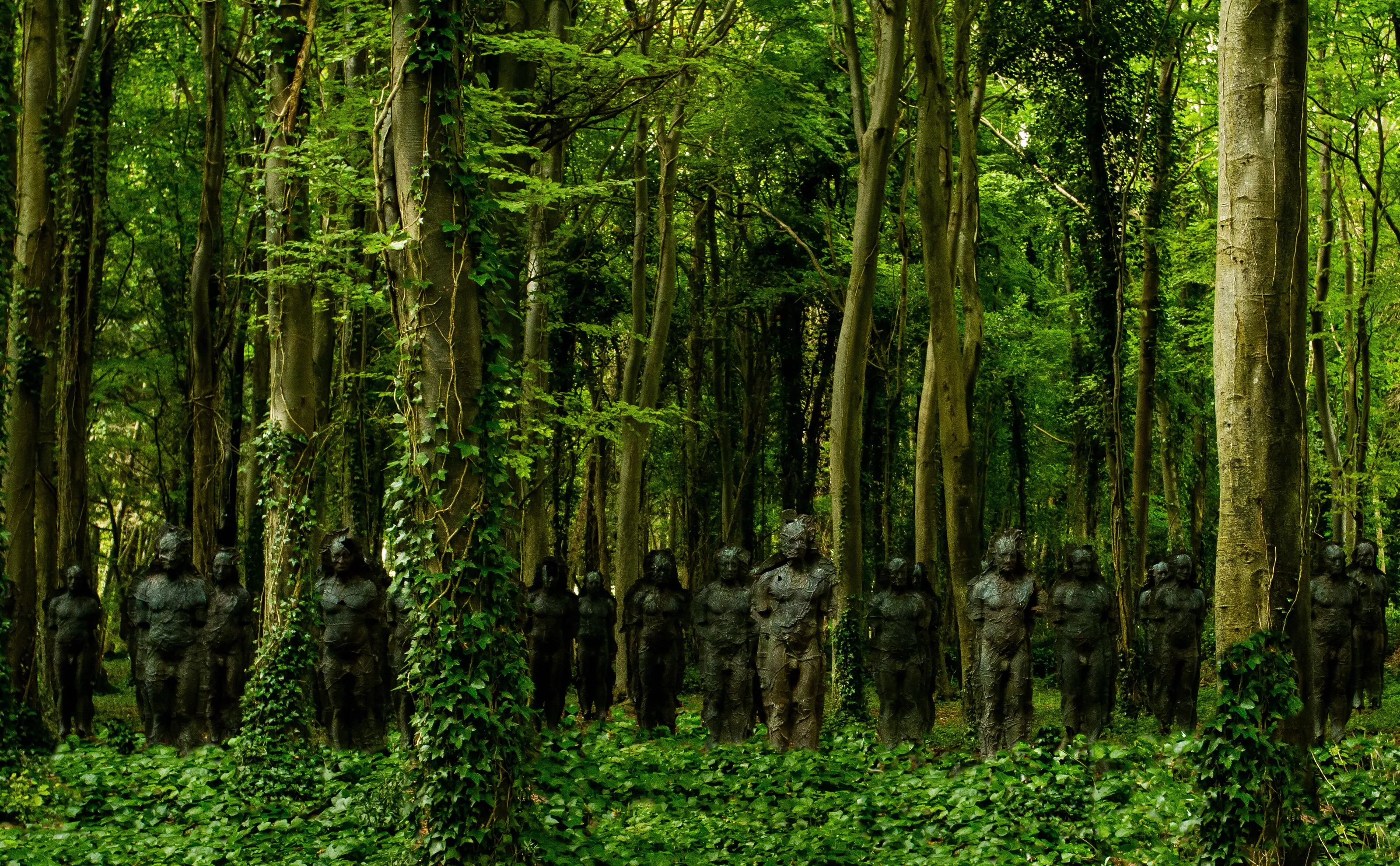 If you go down to the woods today............