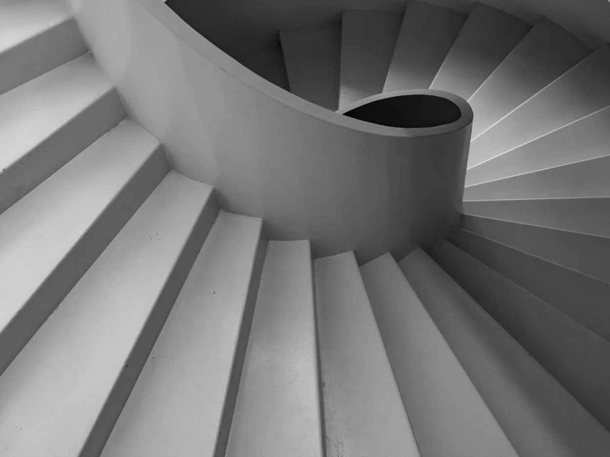 Entry 8691482