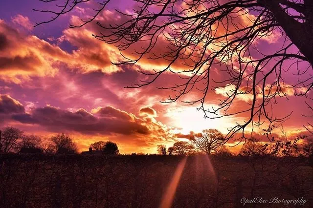 Crimson skies