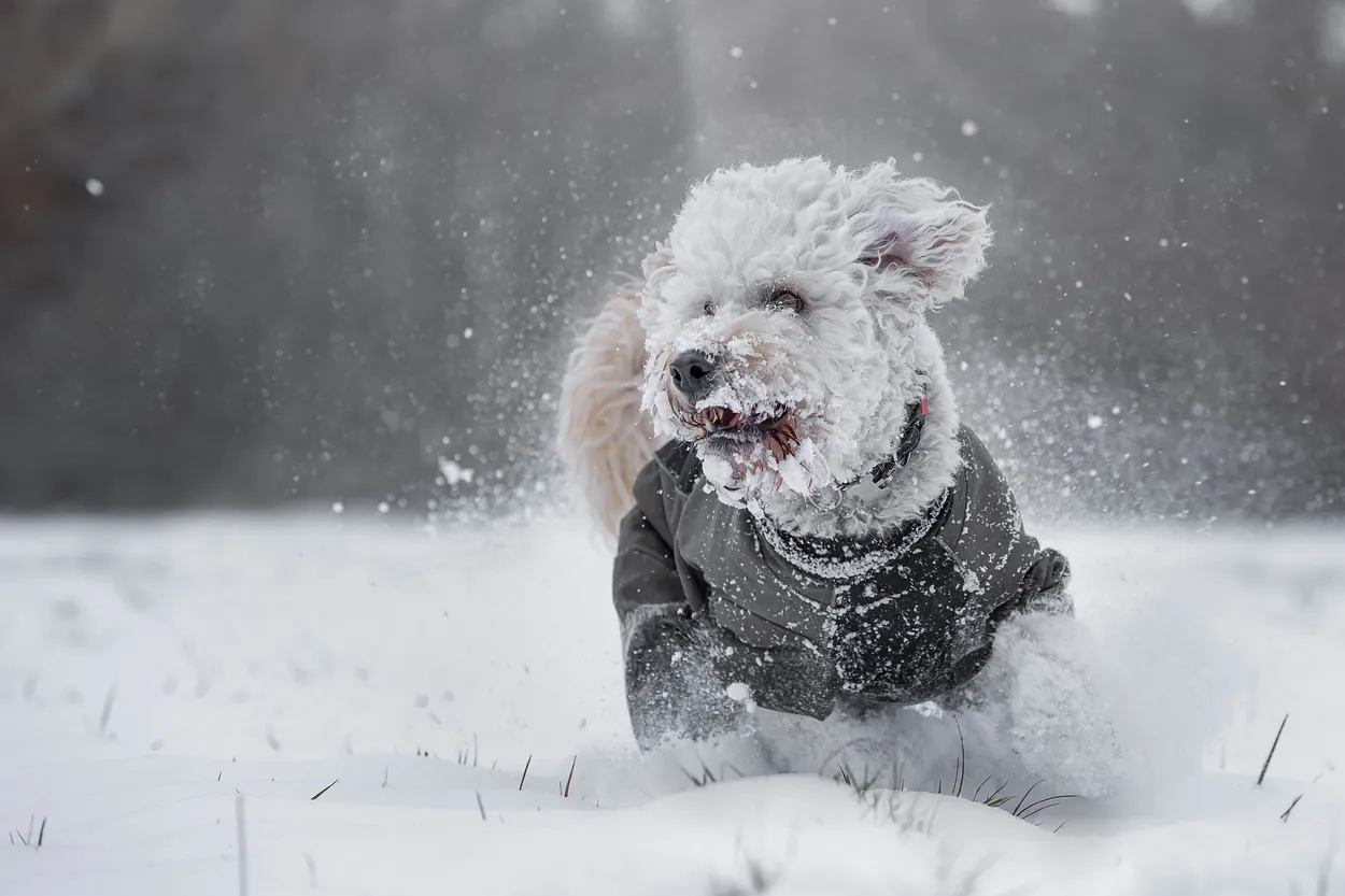 Entry 8711110
