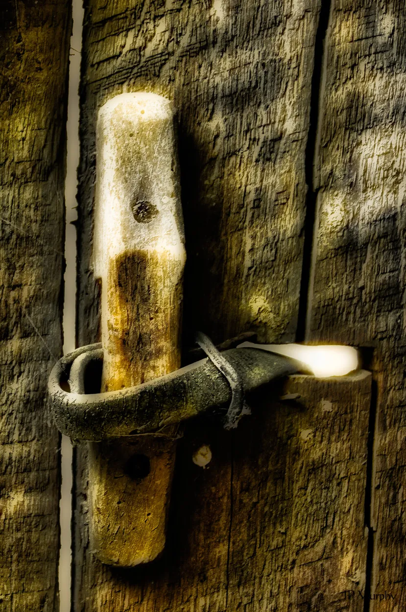 Entry 11924454