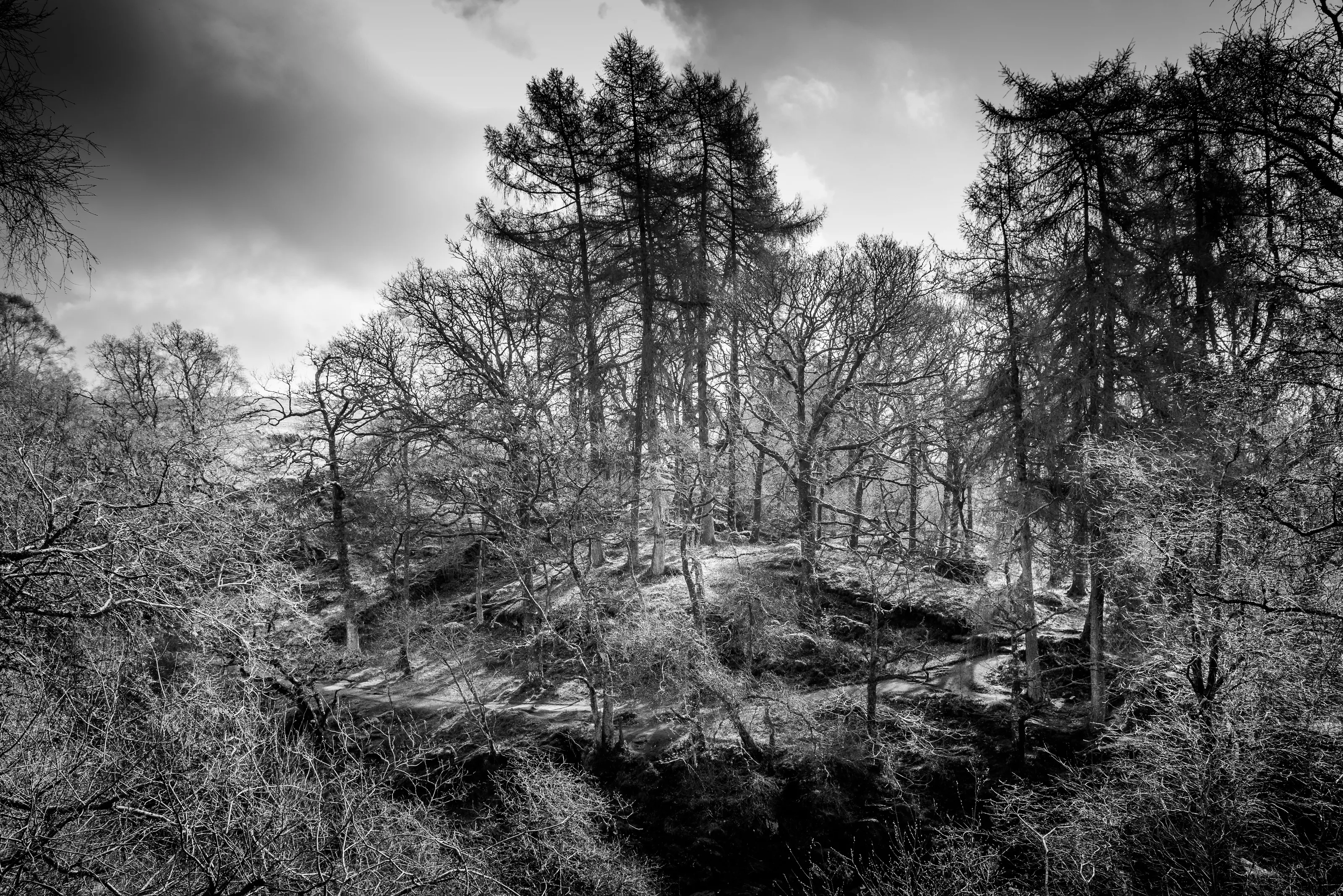 Near Bracklinn Falls