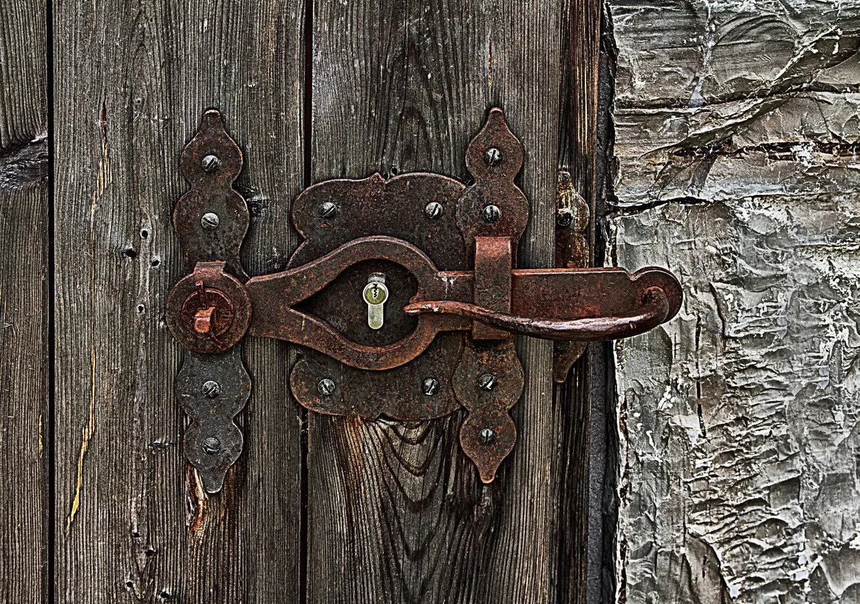 Entry 19908302