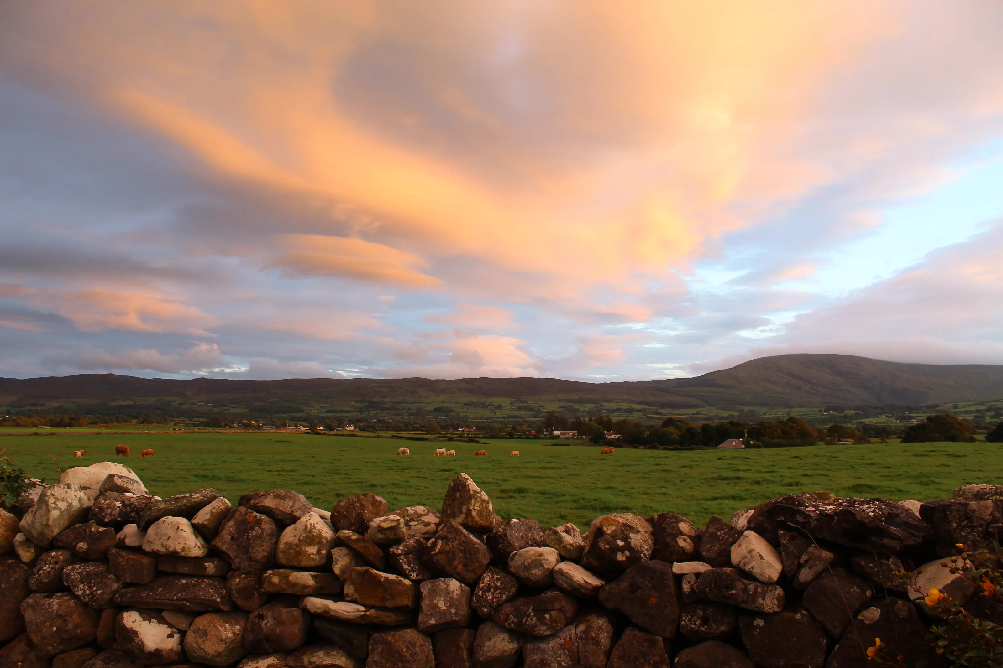 Country life