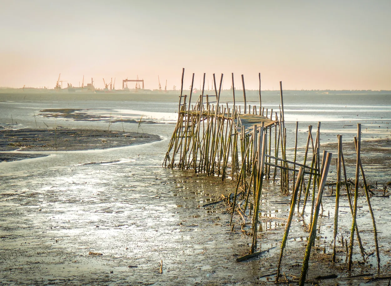 Entry 14853132