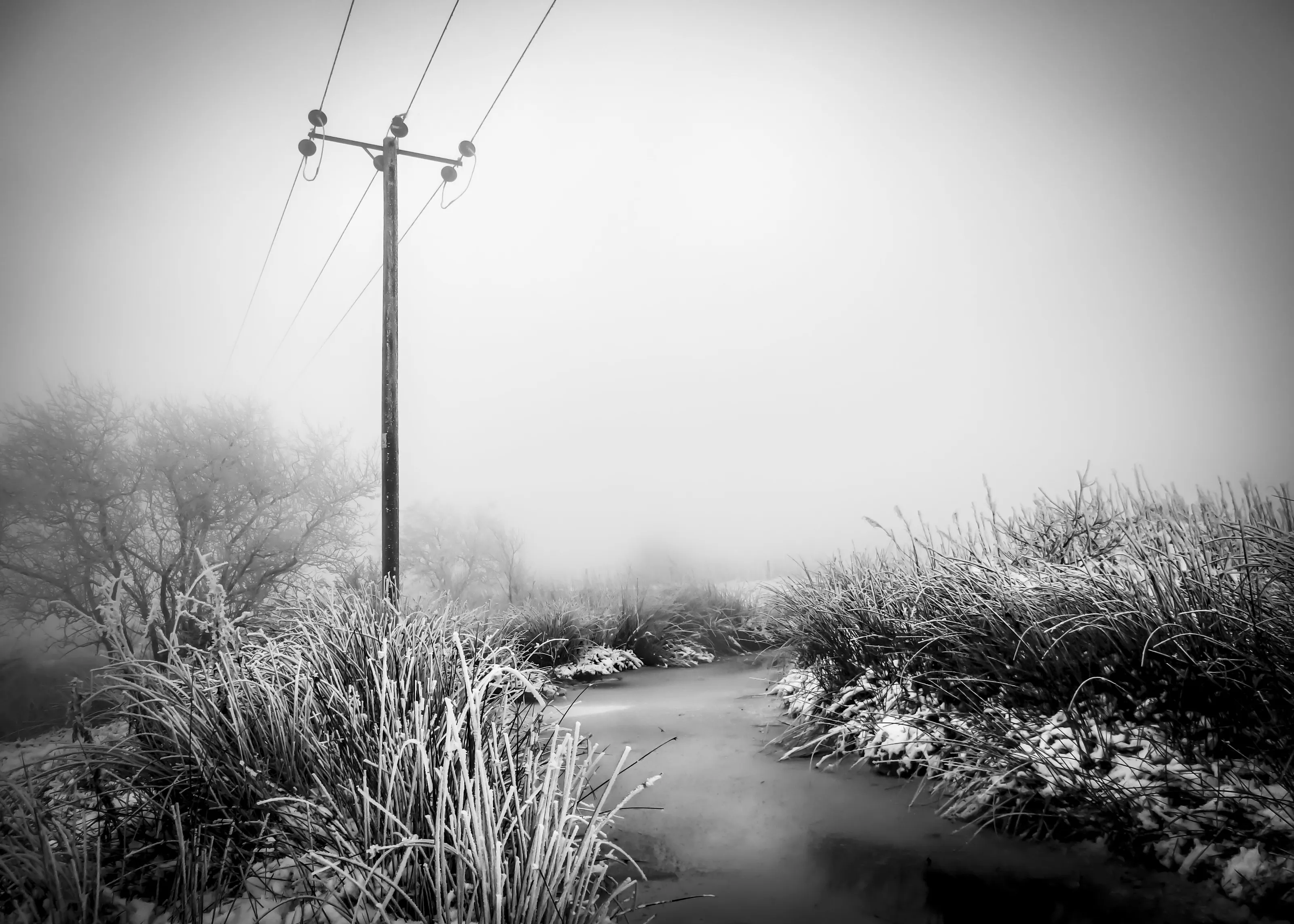 Into the unknown