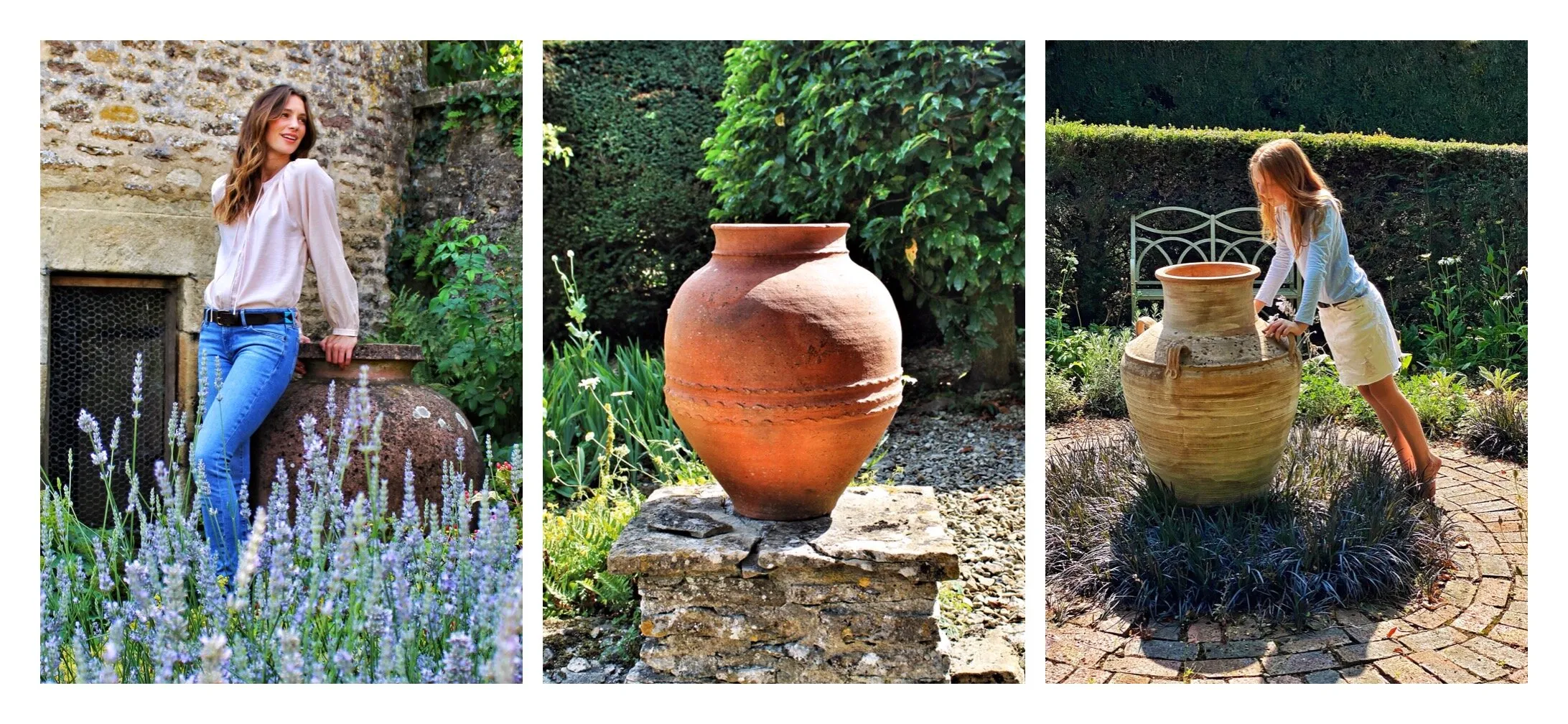 The Garden