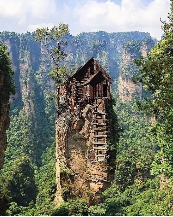 Nature