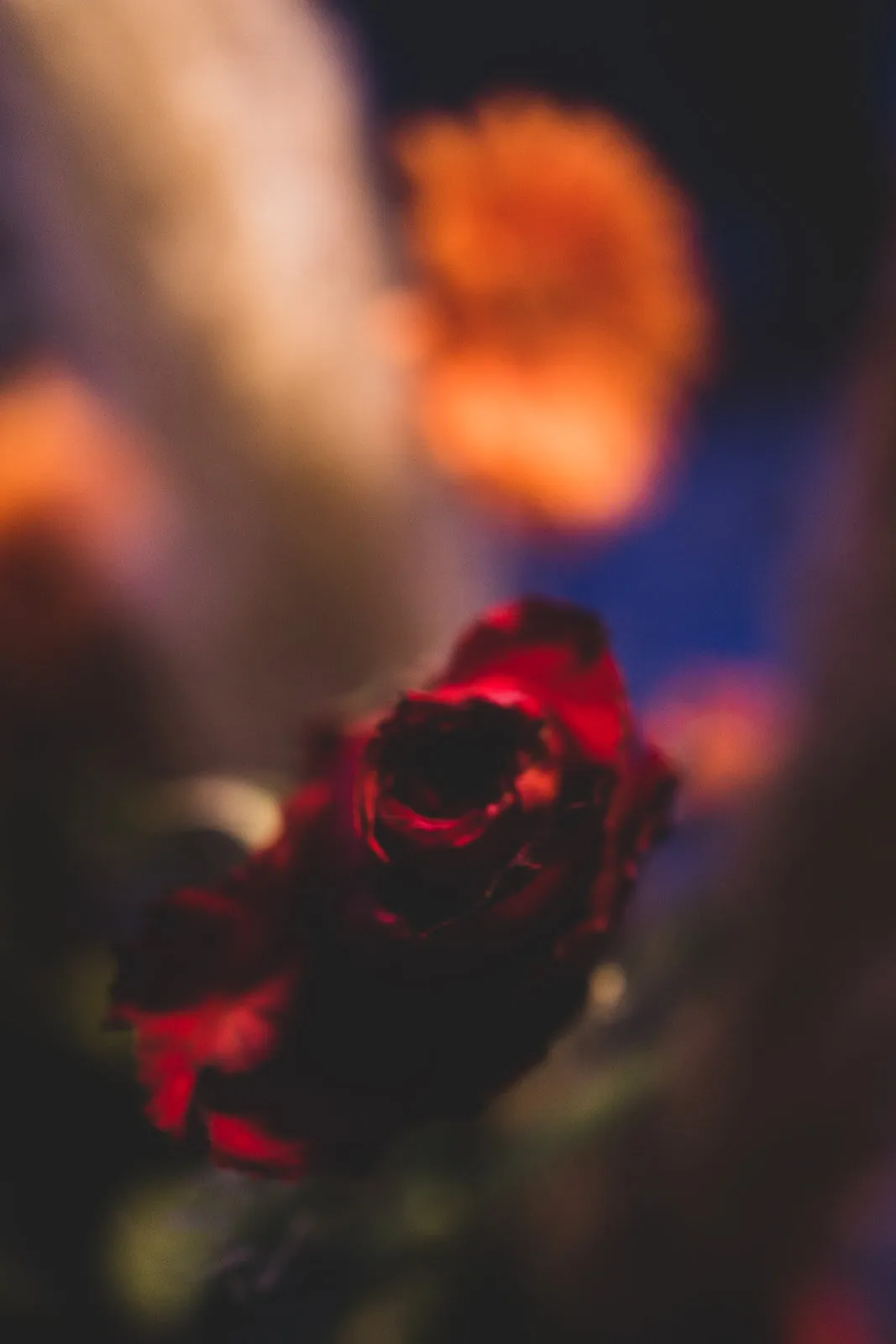 Banner image