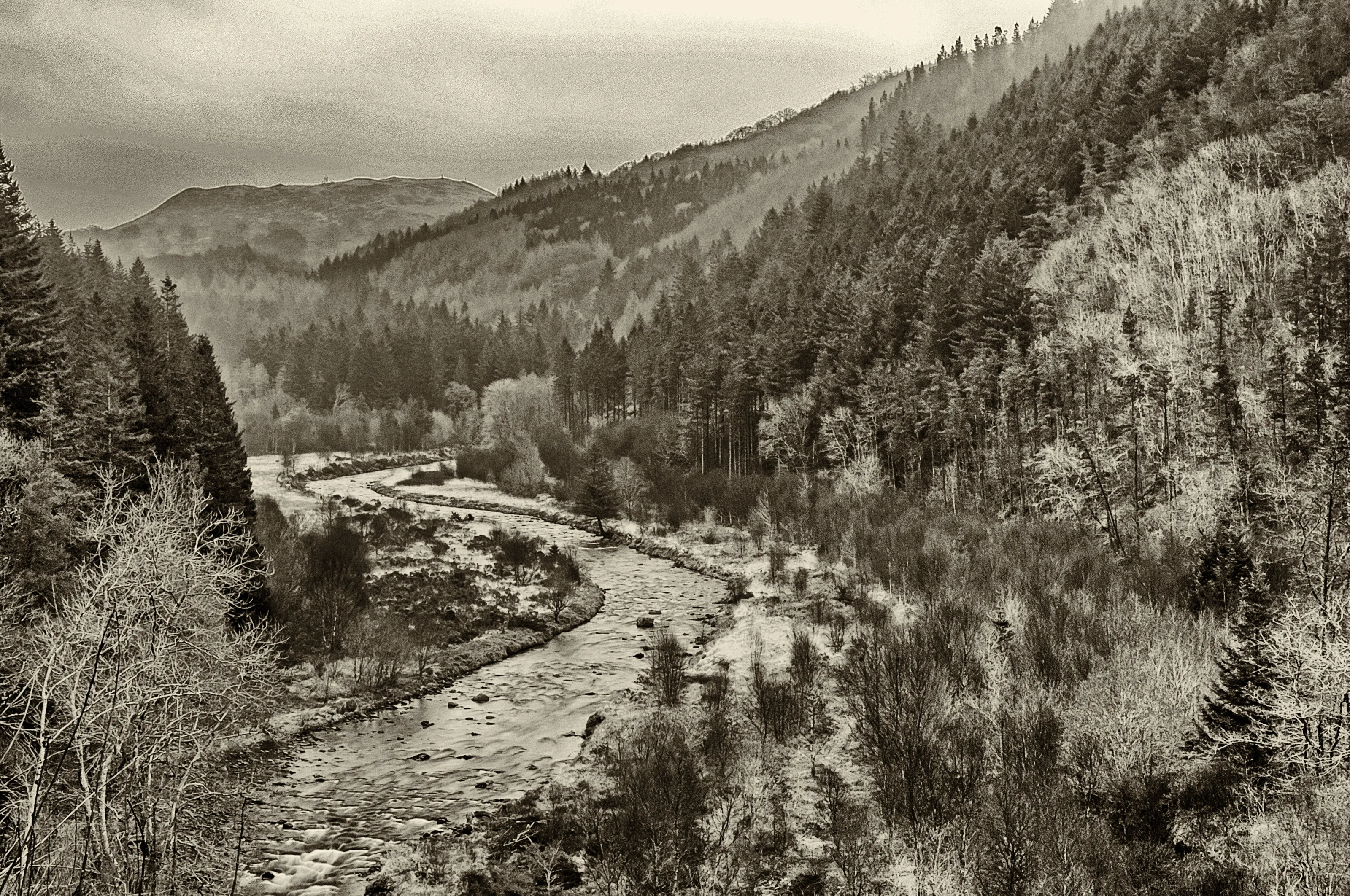 'Autumnal Vista'