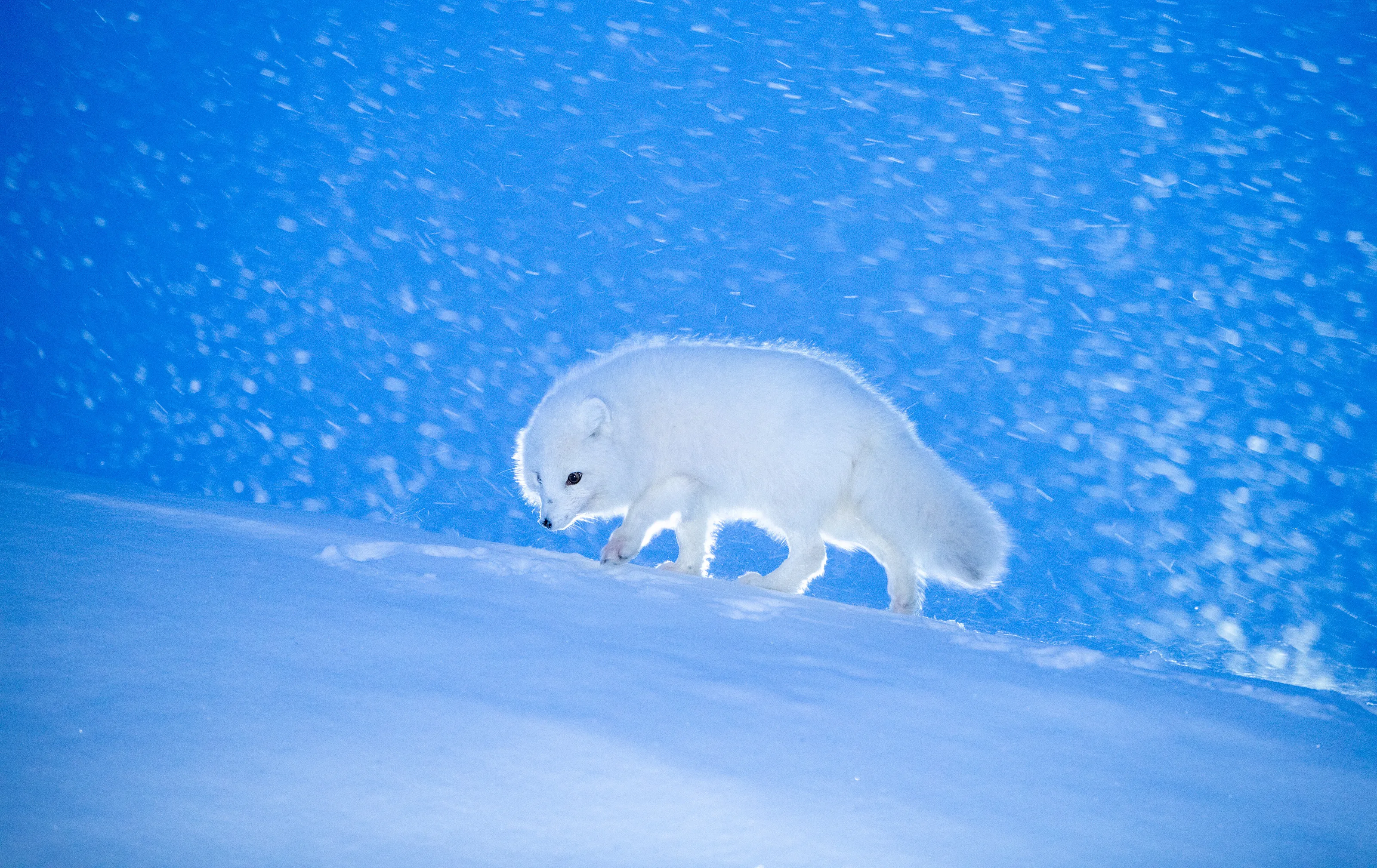 Incredible nature