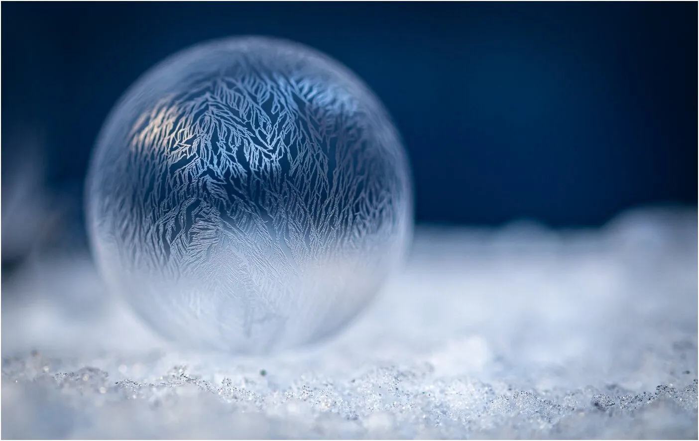 Snow Globe