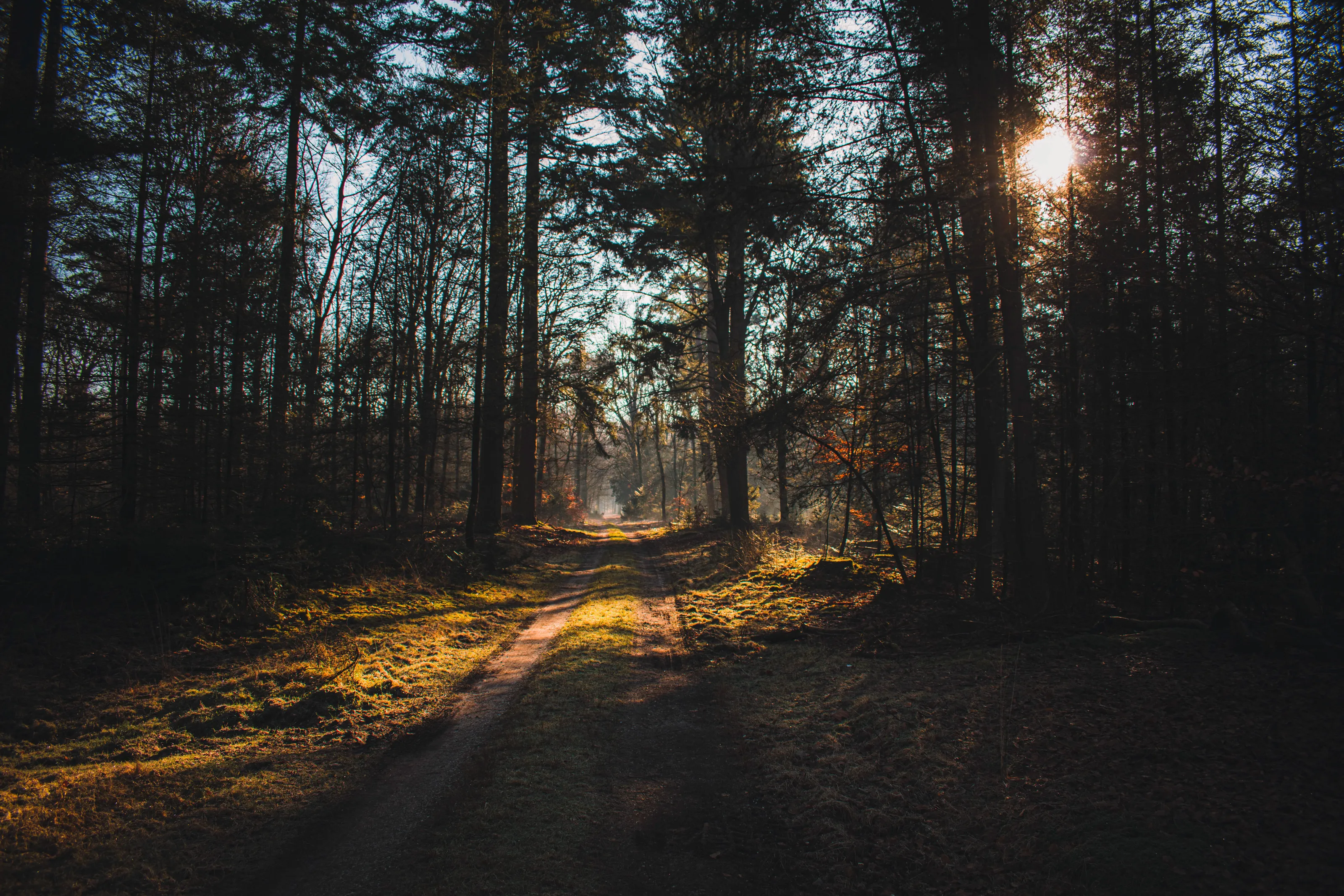 Mooi Veluwe