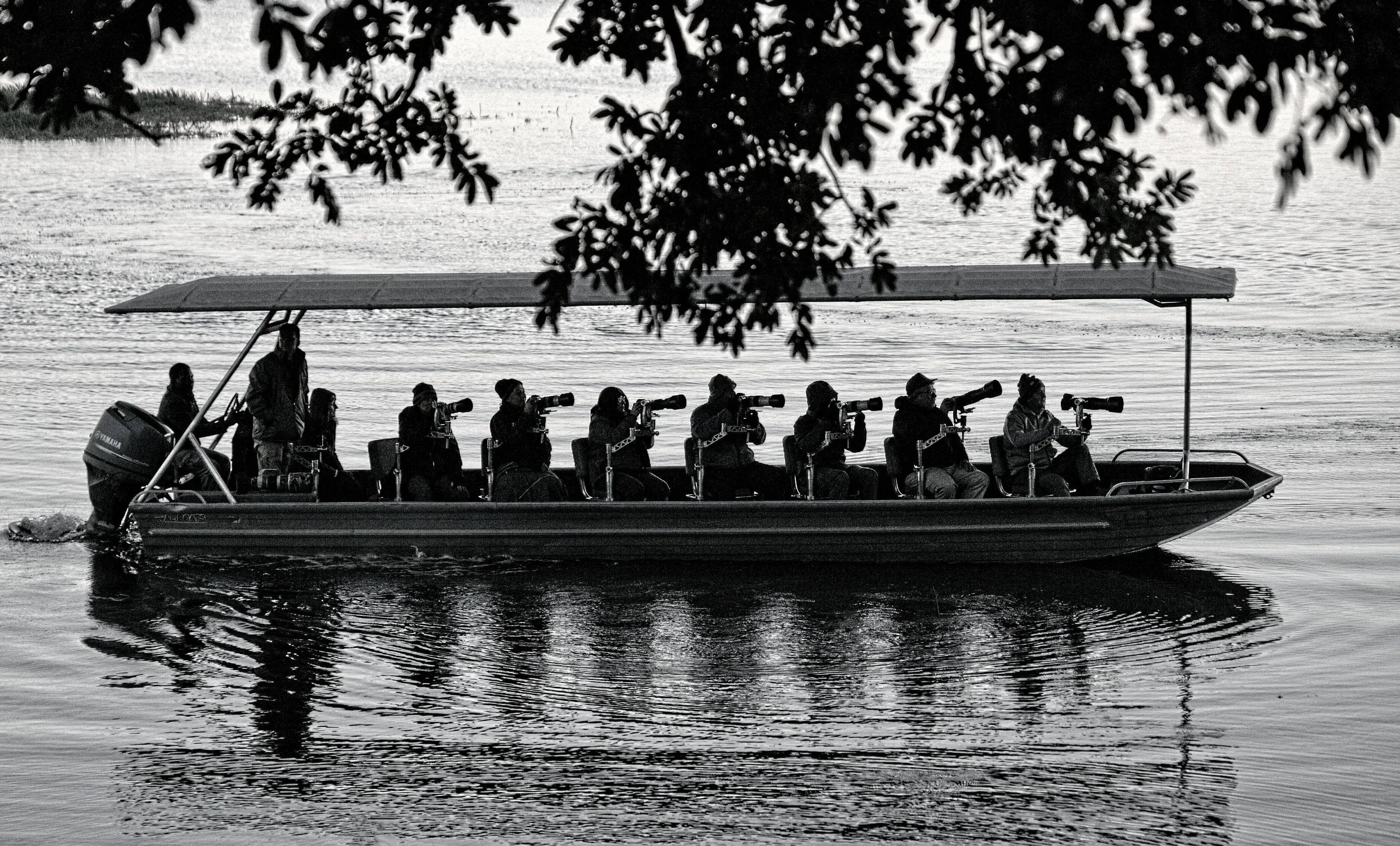 Chobe Leopard Spotters