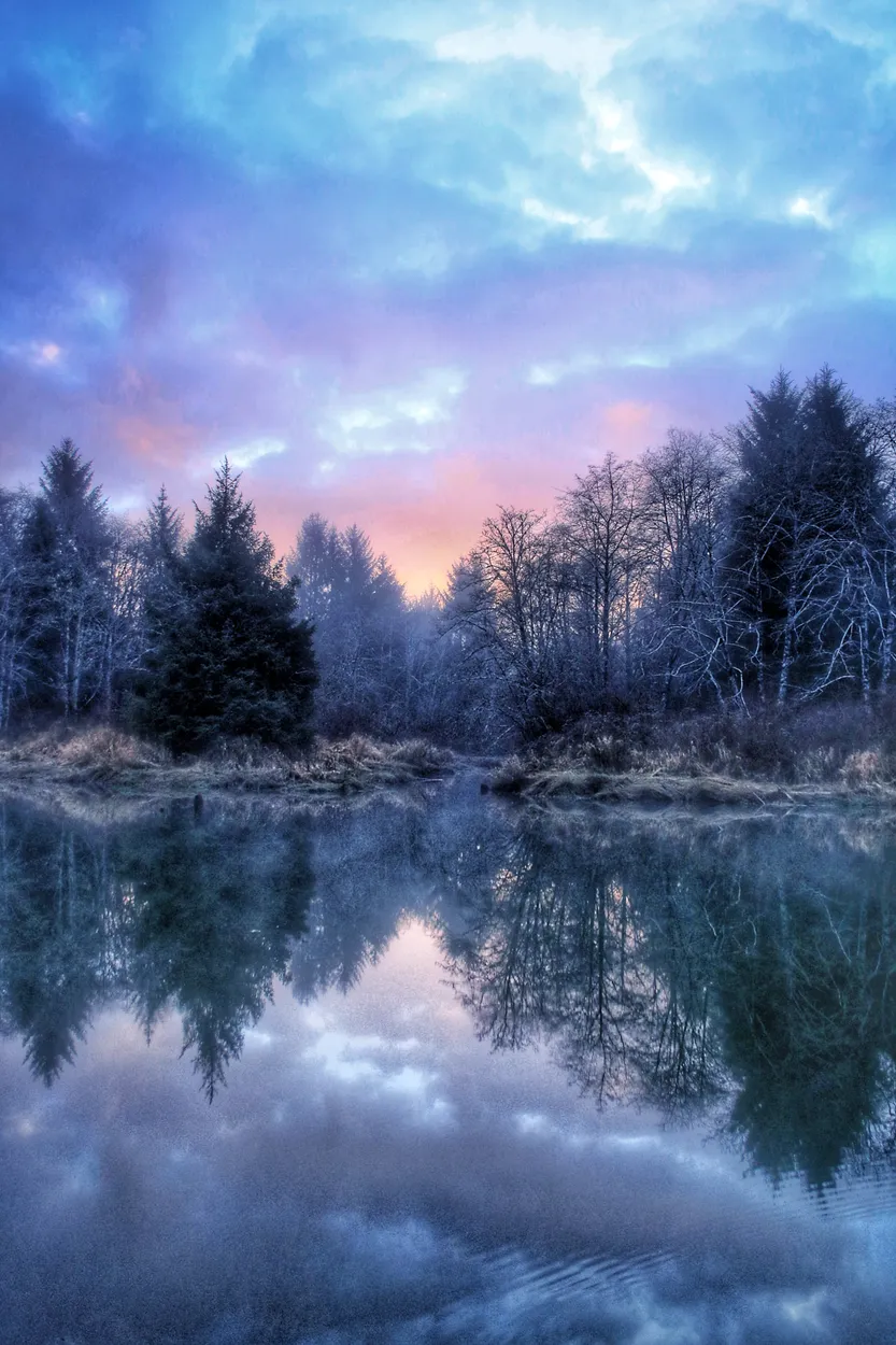 Entry 11744332