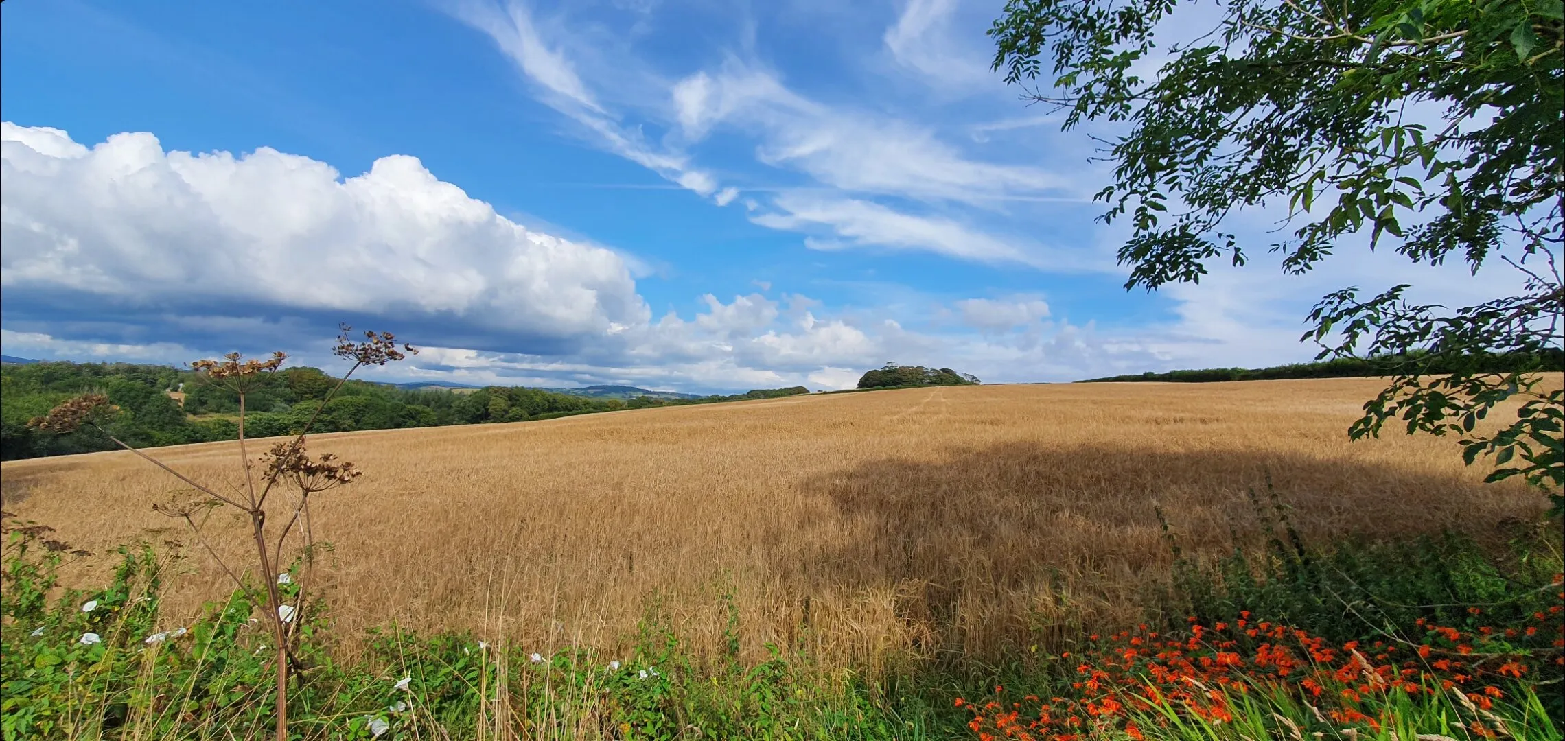 Bright, Beautiful, Landscape