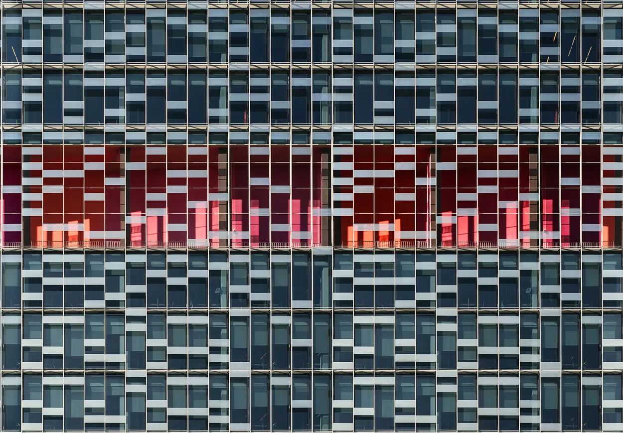 Entry 19348888
