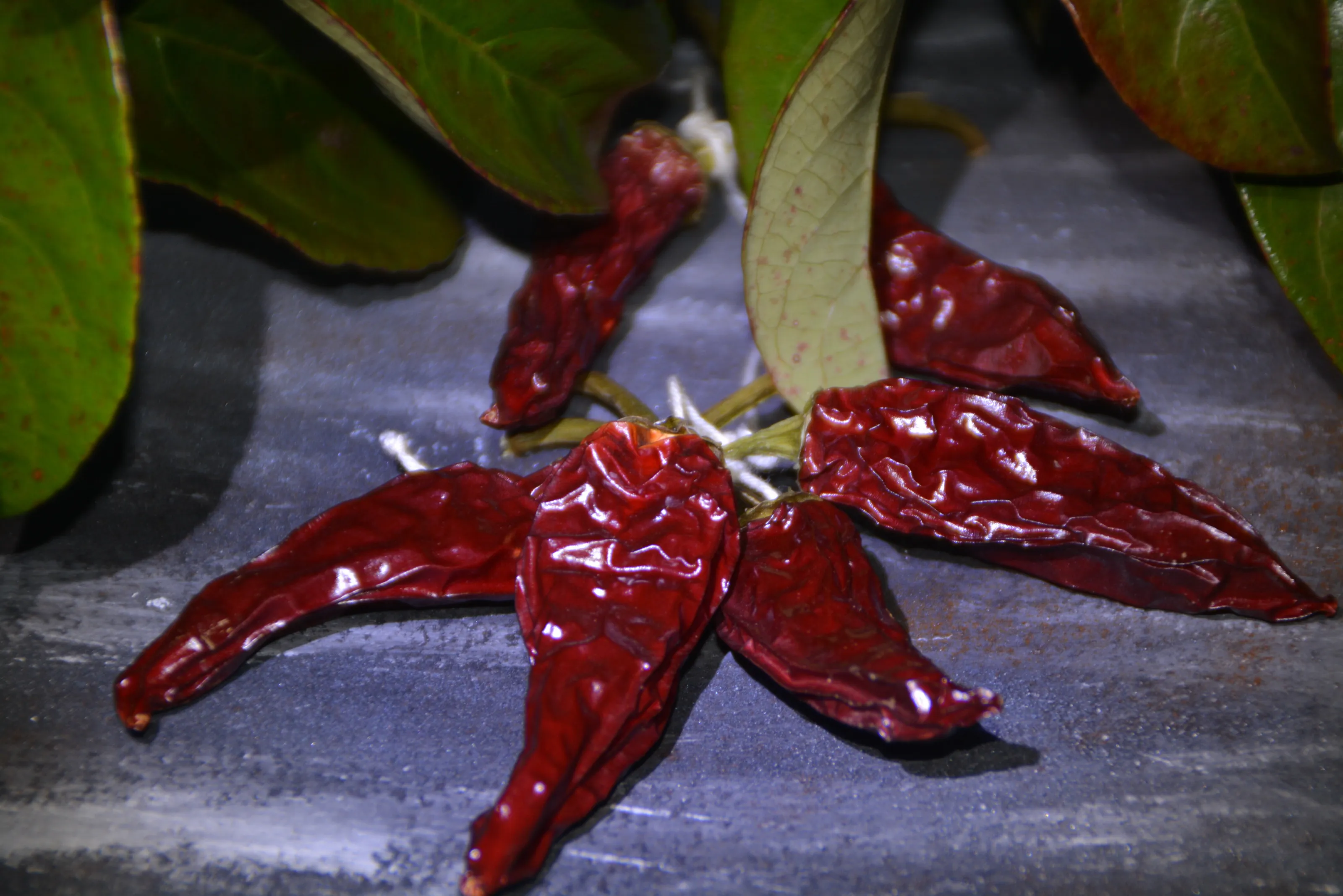 Chilipeppers   from Calabria