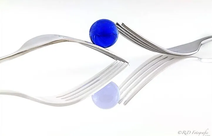 Entry 8768219