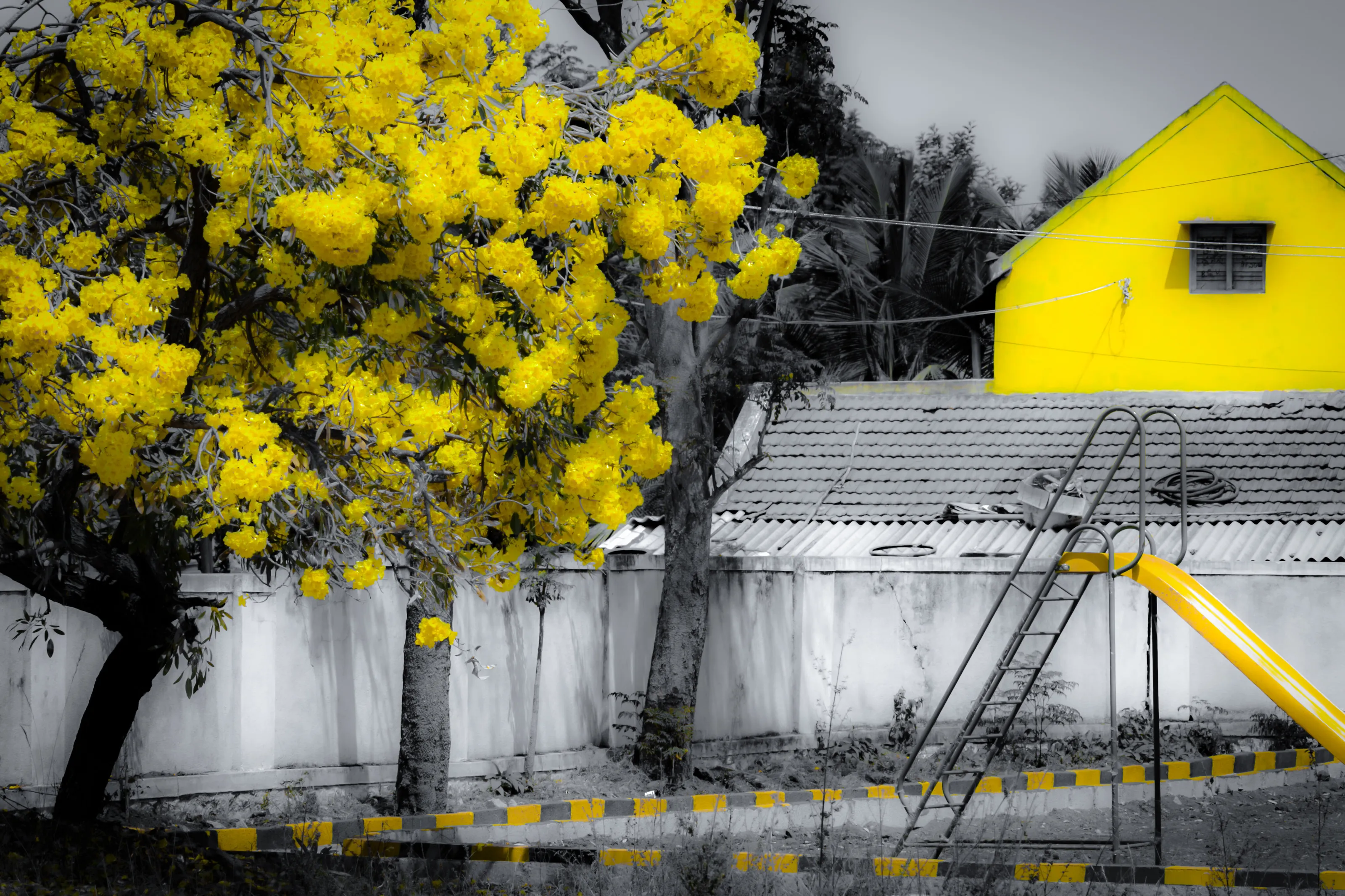 Yellow!