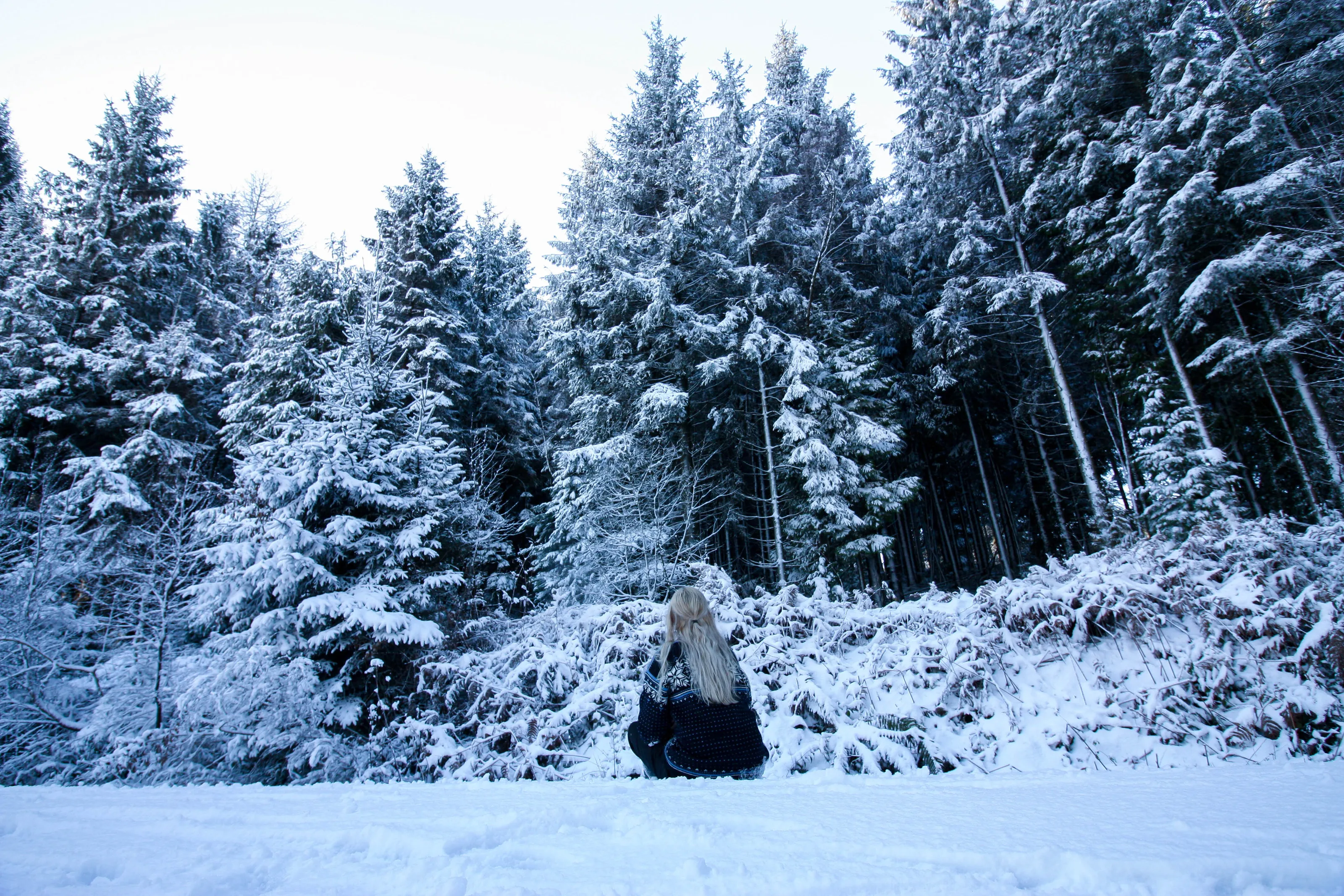 Winter Wonderland