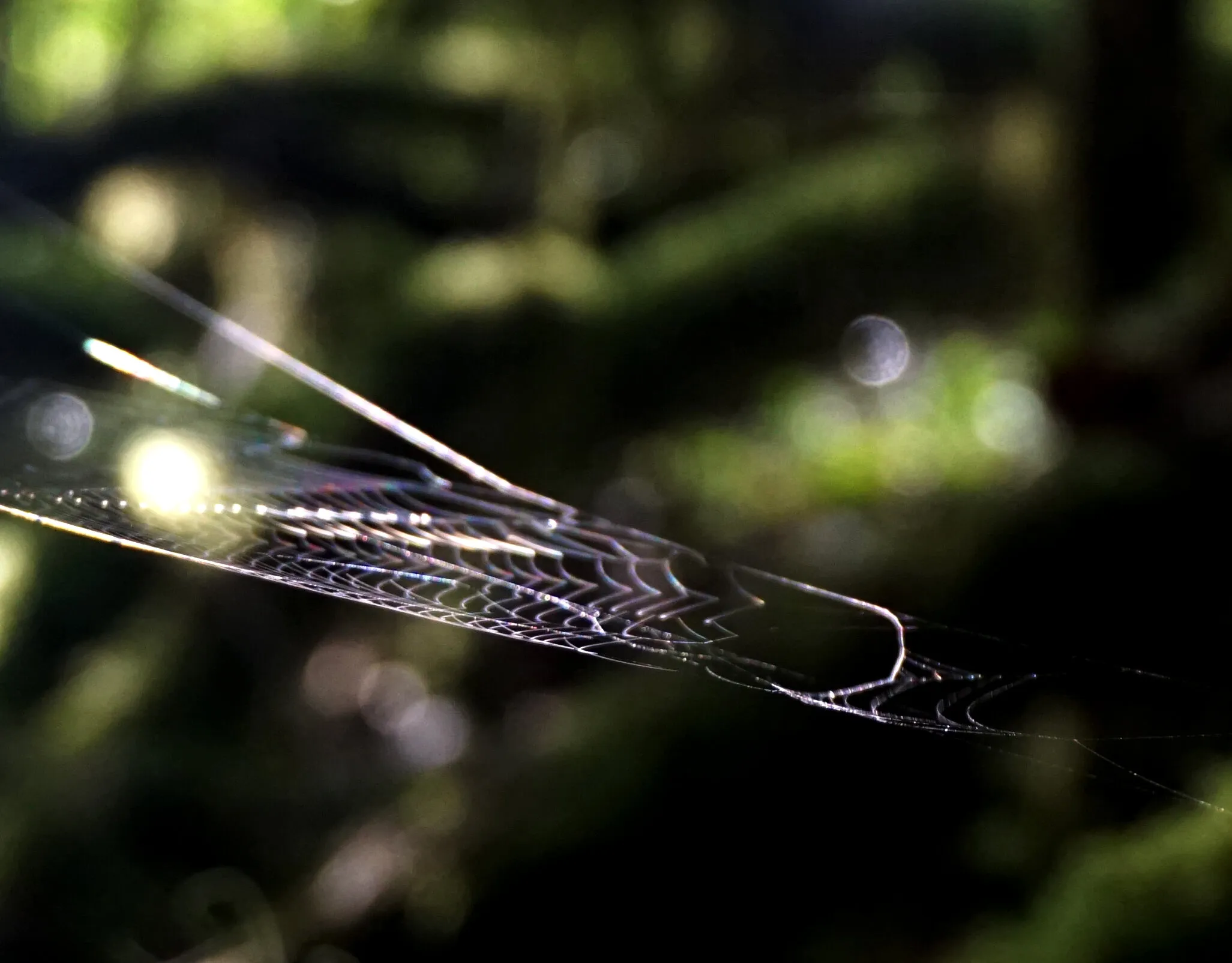 Web Optics